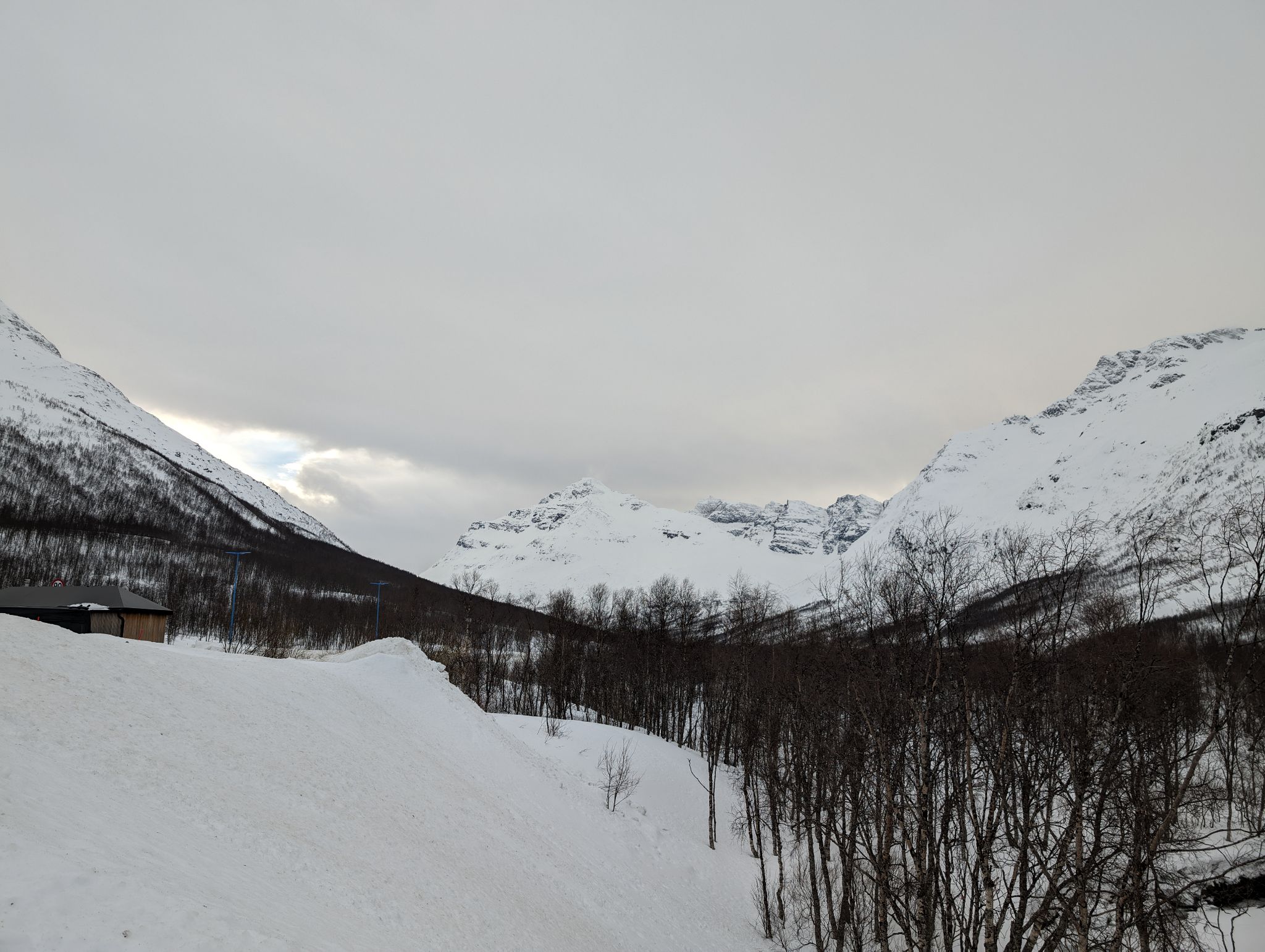 2024 02 24 12.54.42 pixel 8p