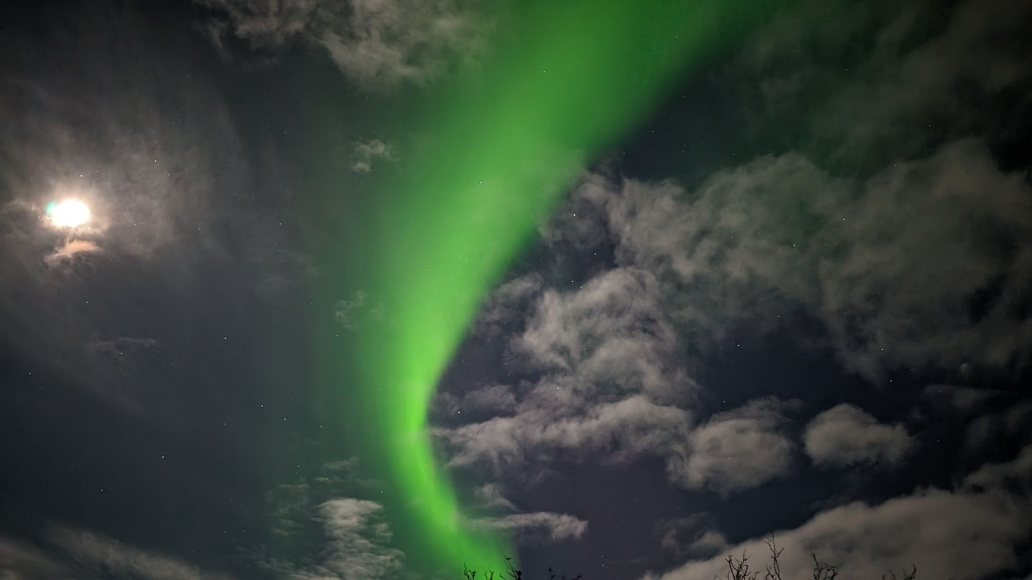 2024 02 21 00.41.18 pixel 8p