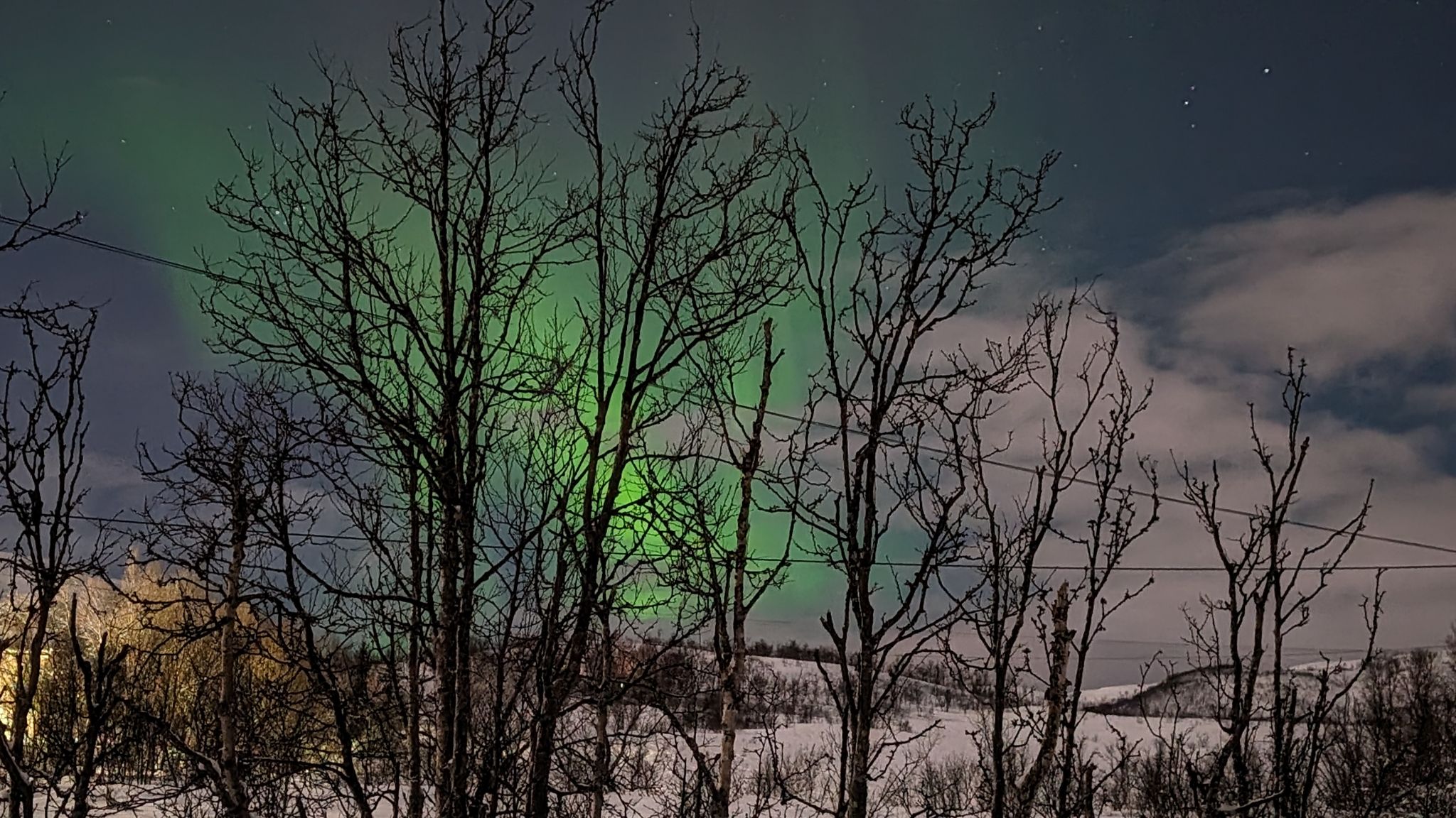 2024 02 21 00.53.58 pixel 8p