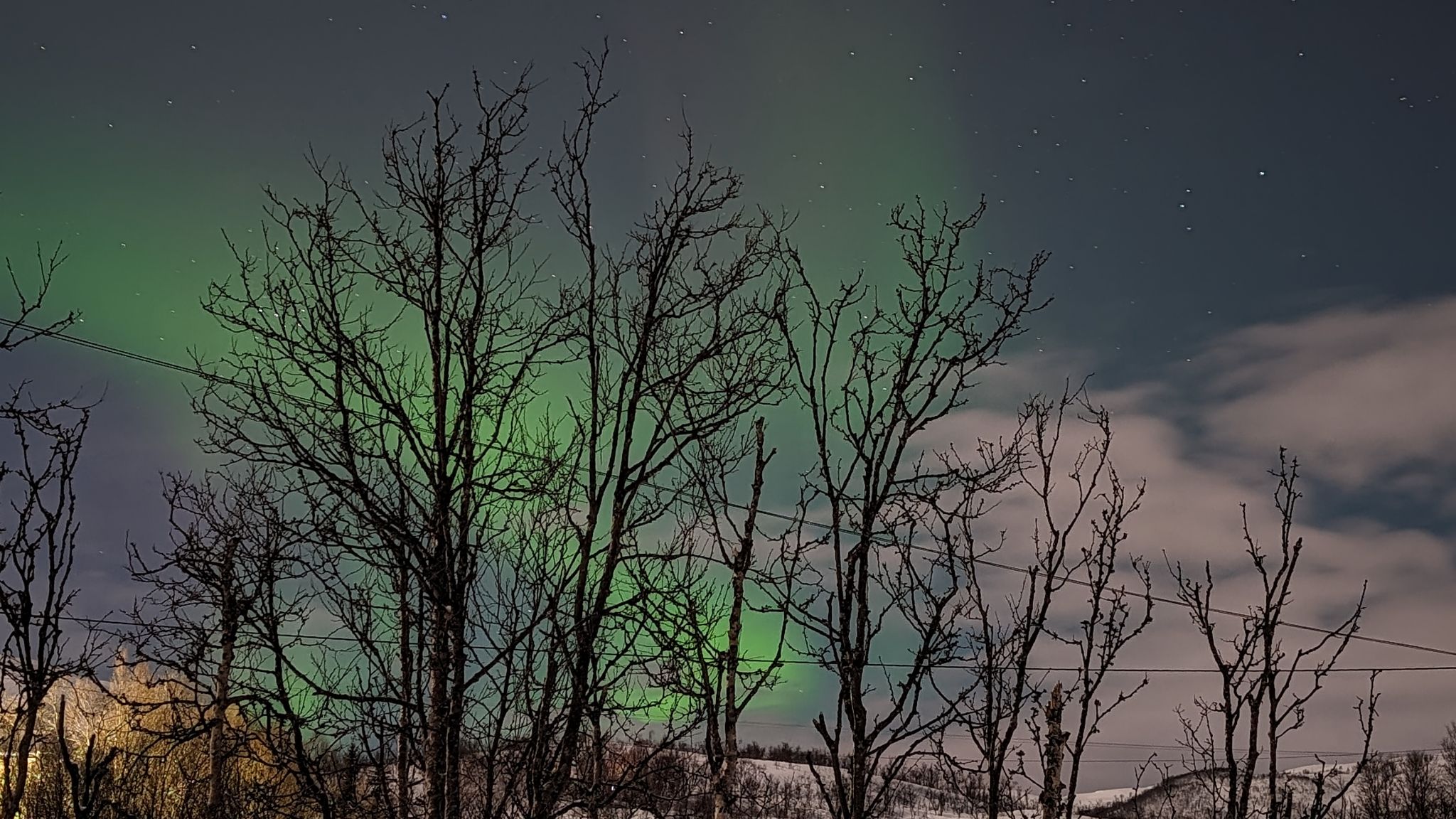 2024 02 21 00.54.32 pixel 8p