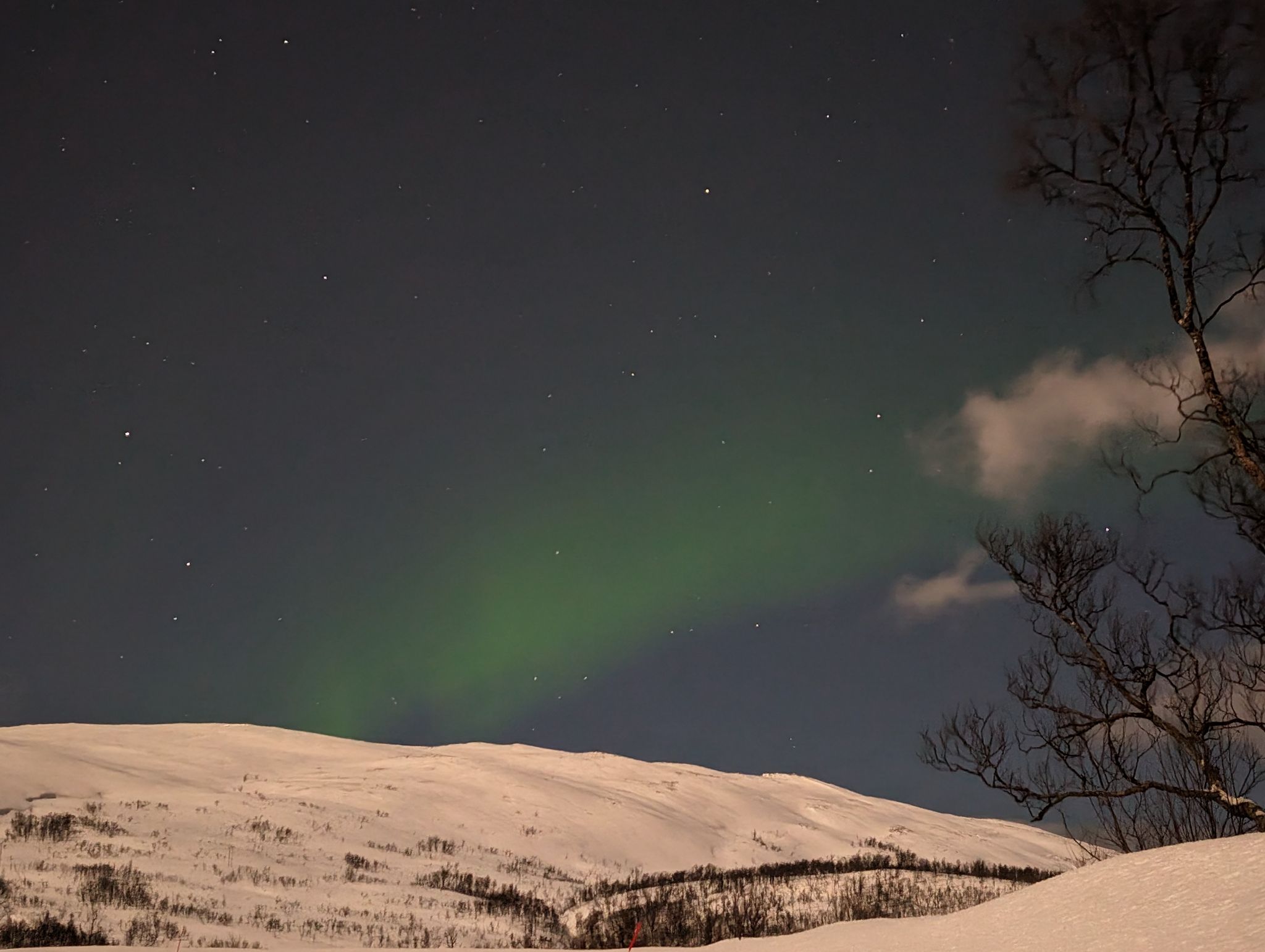 2024 02 22 22.37.27 pixel 8p