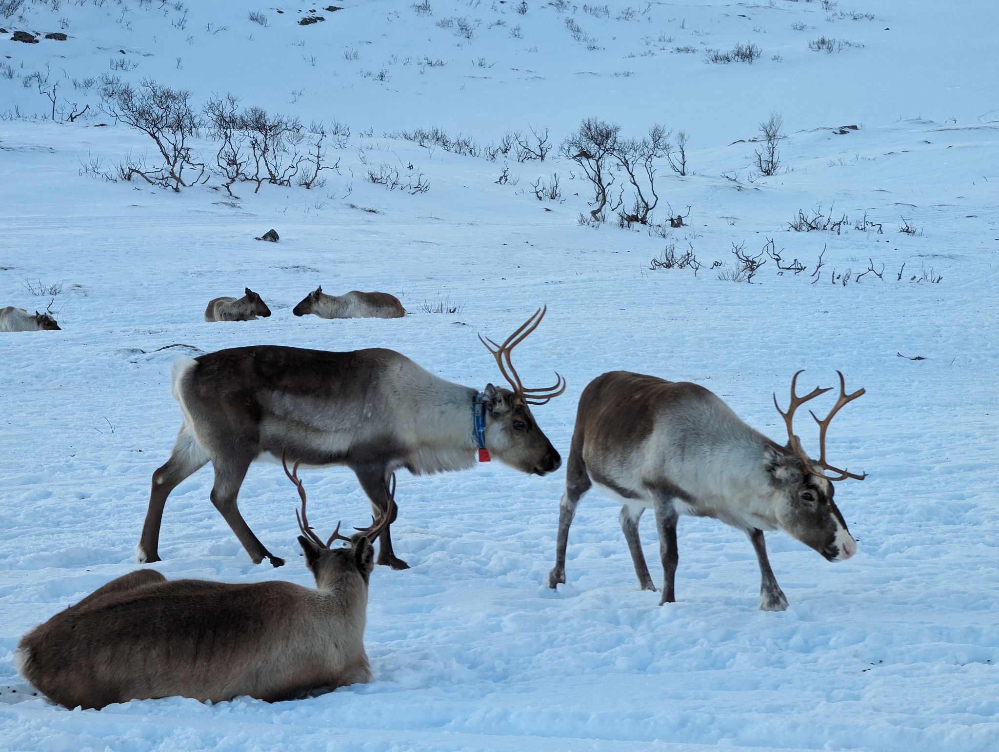 2024 02 23 14.57.00 pixel 8p