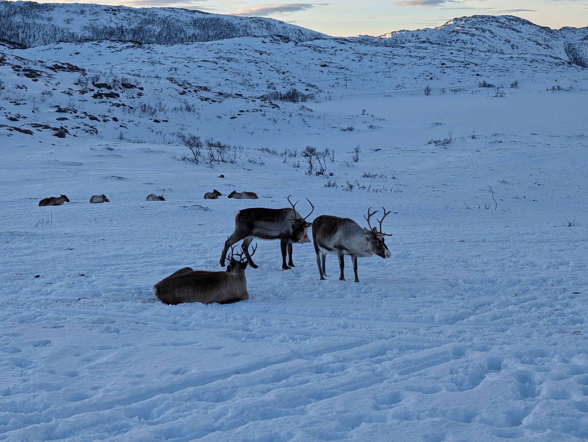 2024 02 23 14.57.12 pixel 8p