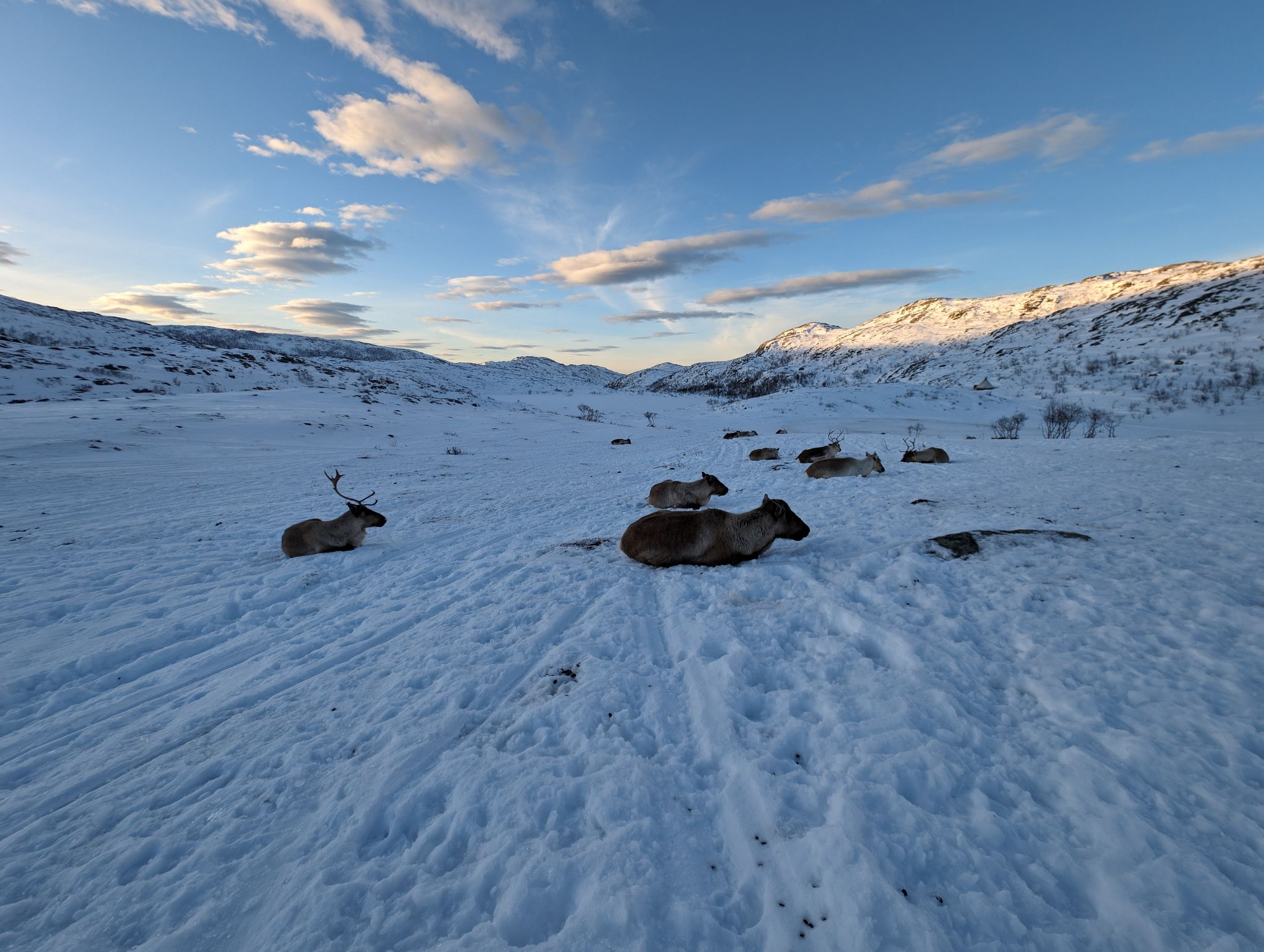 2024 02 23 14.59.19 pixel 8p