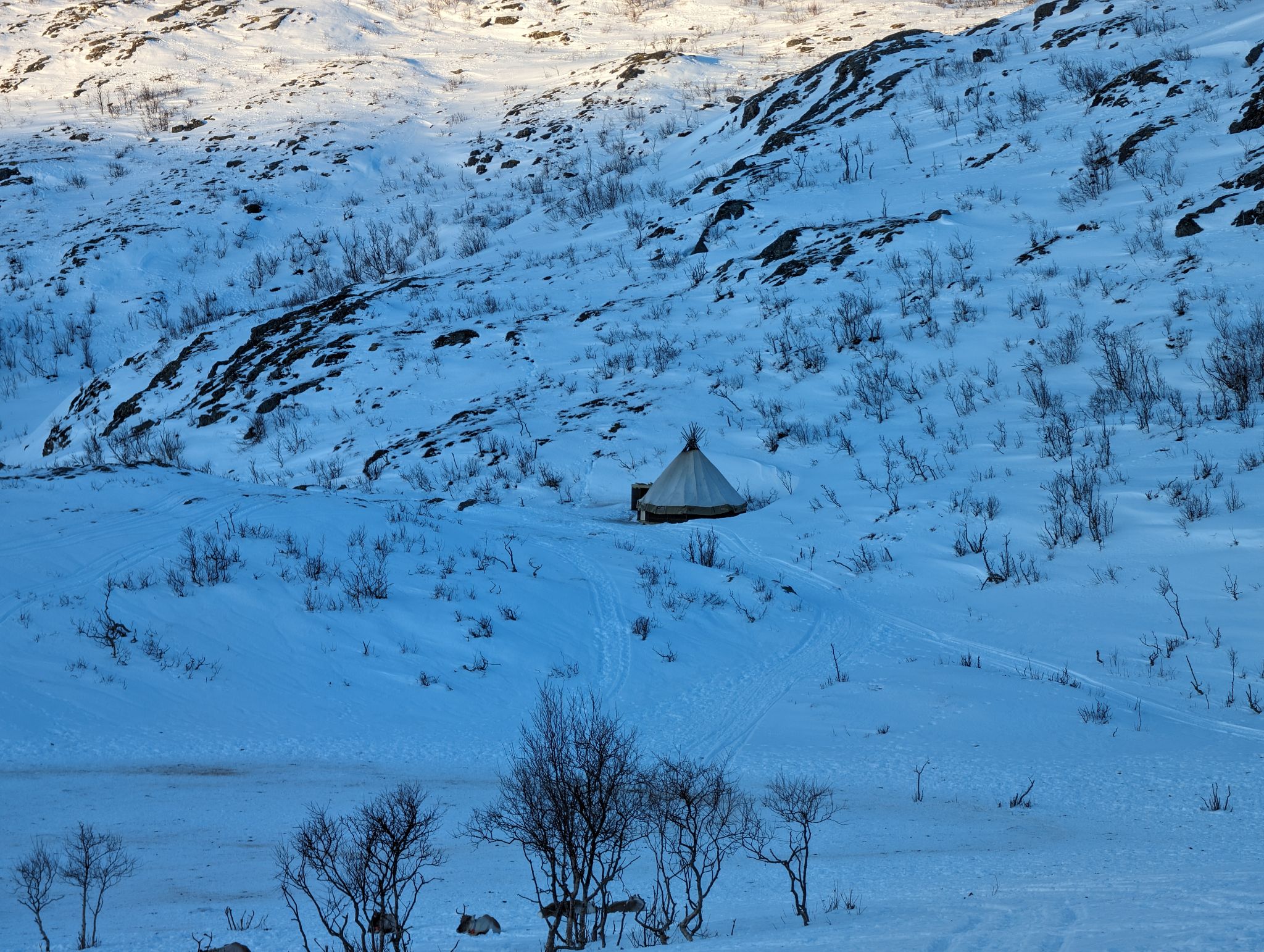 2024 02 23 15.01.44 pixel 8p