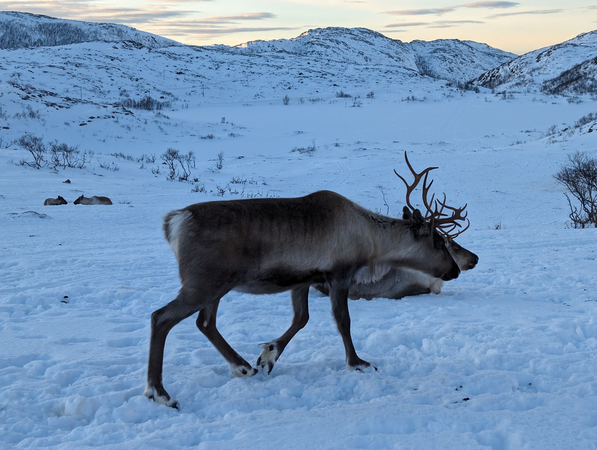 2024 02 23 15.05.25 pixel 8p