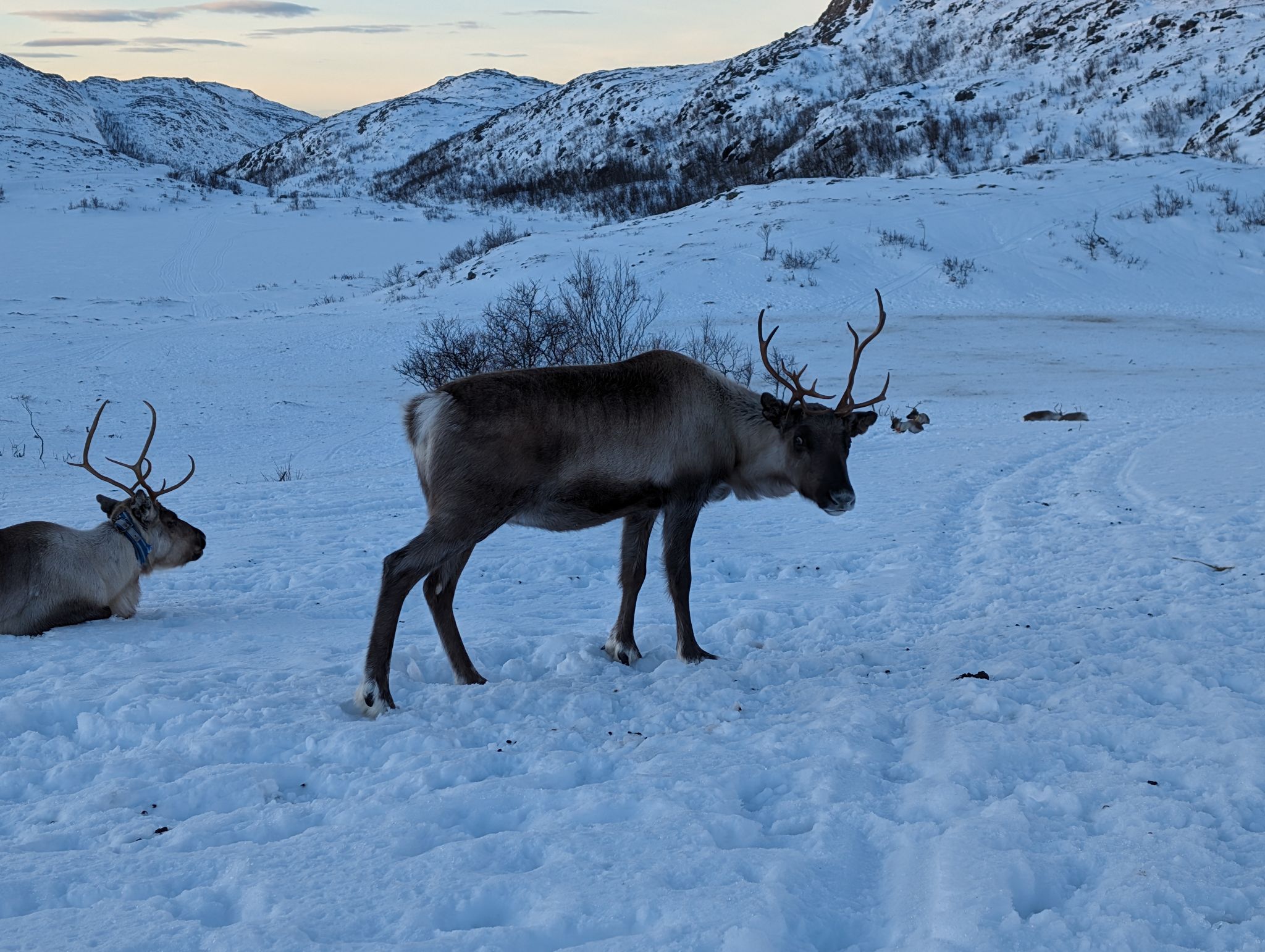 2024 02 23 15.05.29 pixel 8p