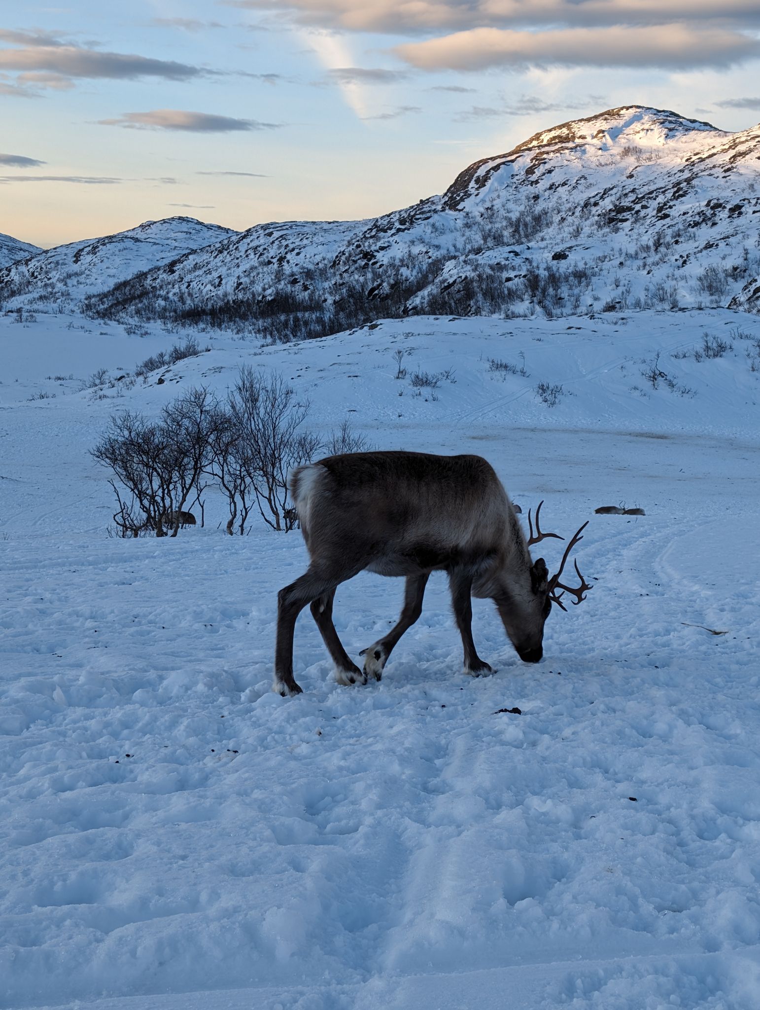 2024 02 23 15.05.33 pixel 8p