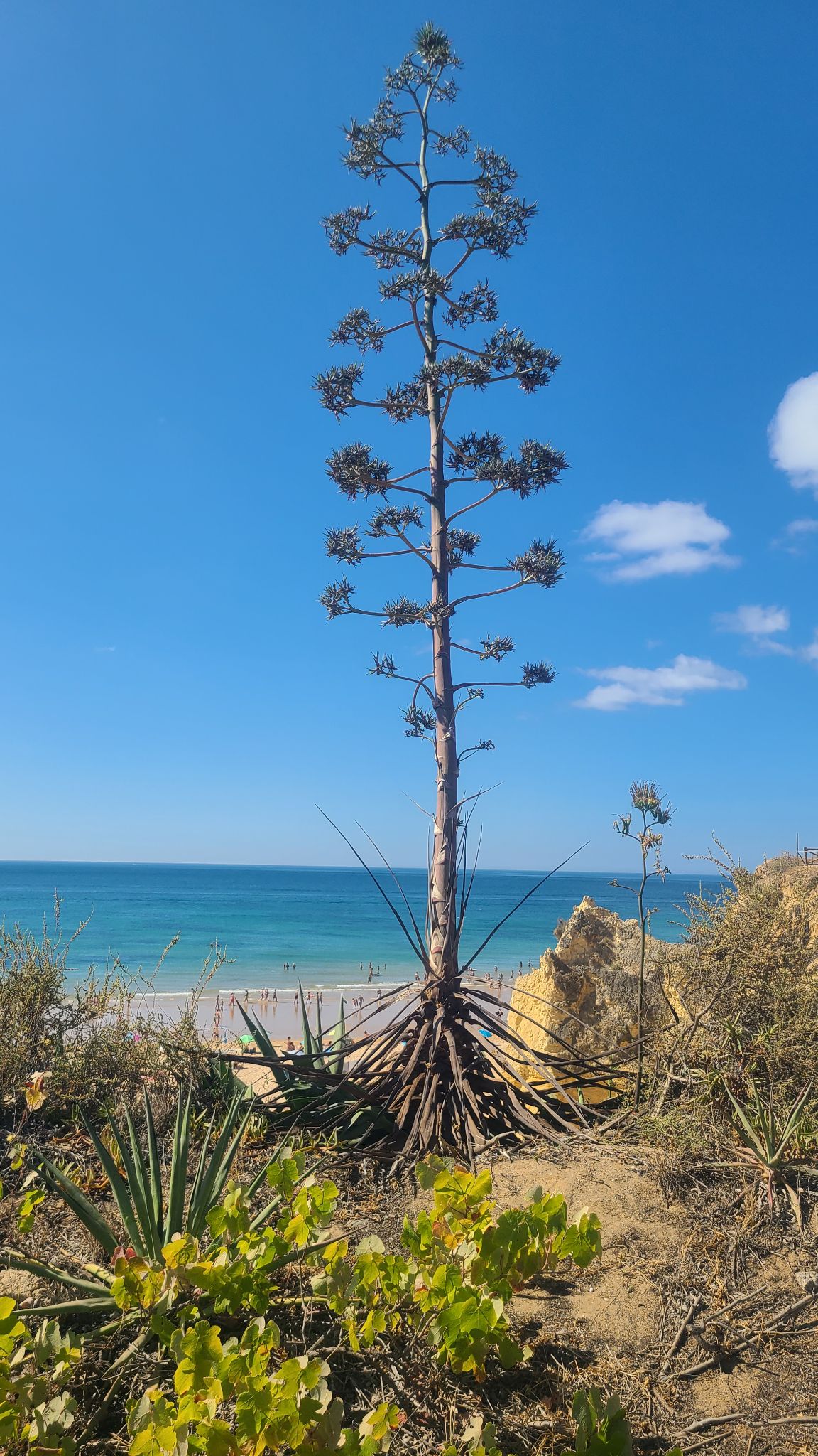 2022 08 16 10.49.14 samsung s20