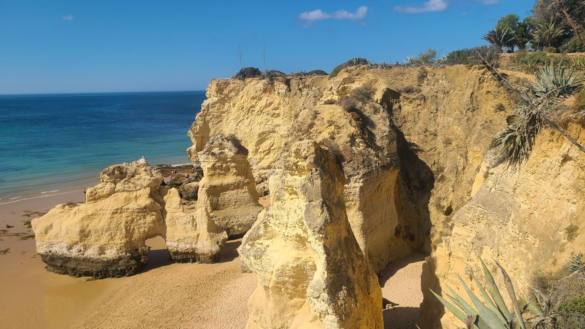 2022 08 16 10.54.20 samsung s20