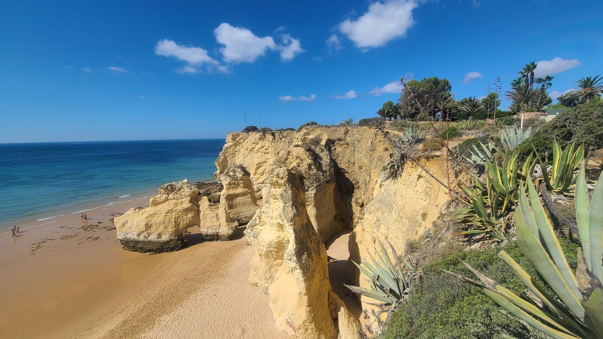 2022 08 16 10.54.25 samsung s20