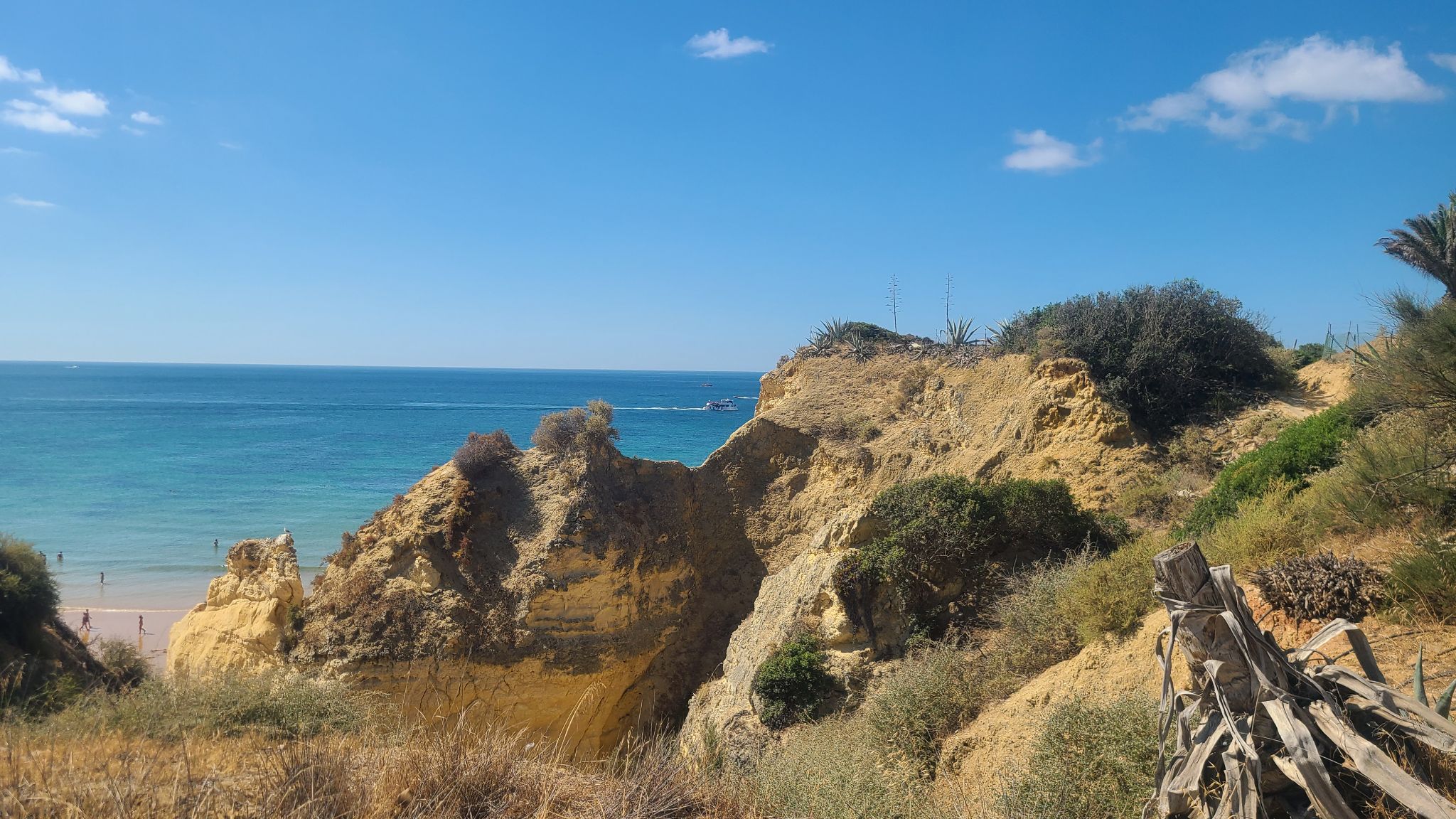 2022 08 16 11.00.33 samsung s20