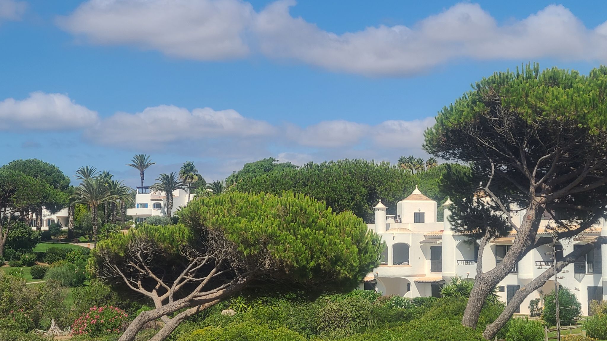 2022 08 16 11.08.30 samsung s20