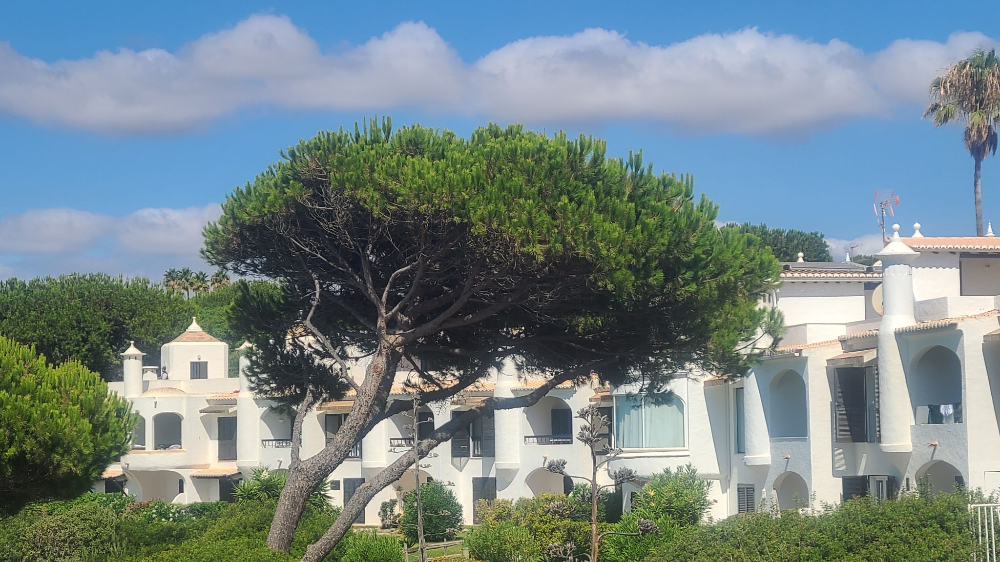 2022 08 16 11.08.34 samsung s20