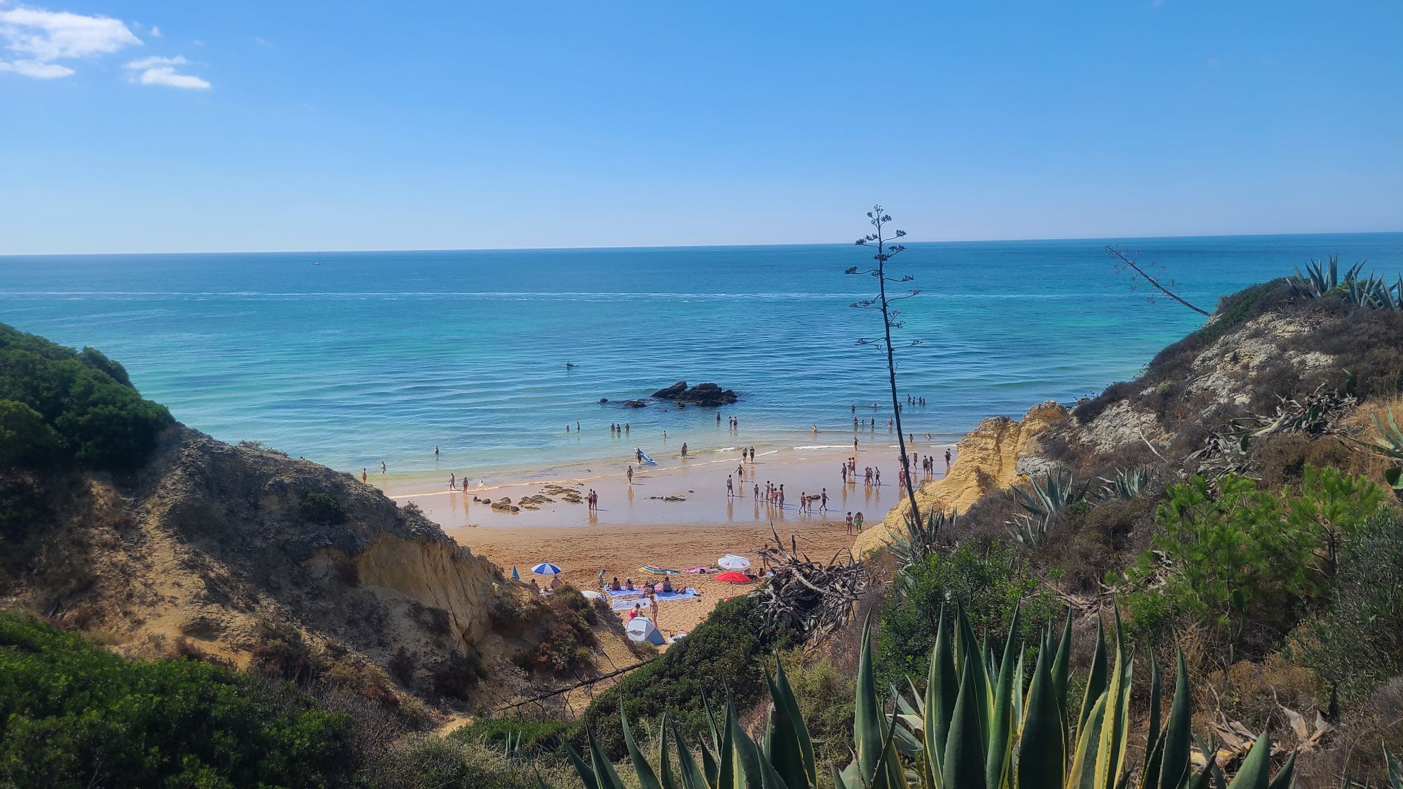 2022 08 16 11.10.04 samsung s20