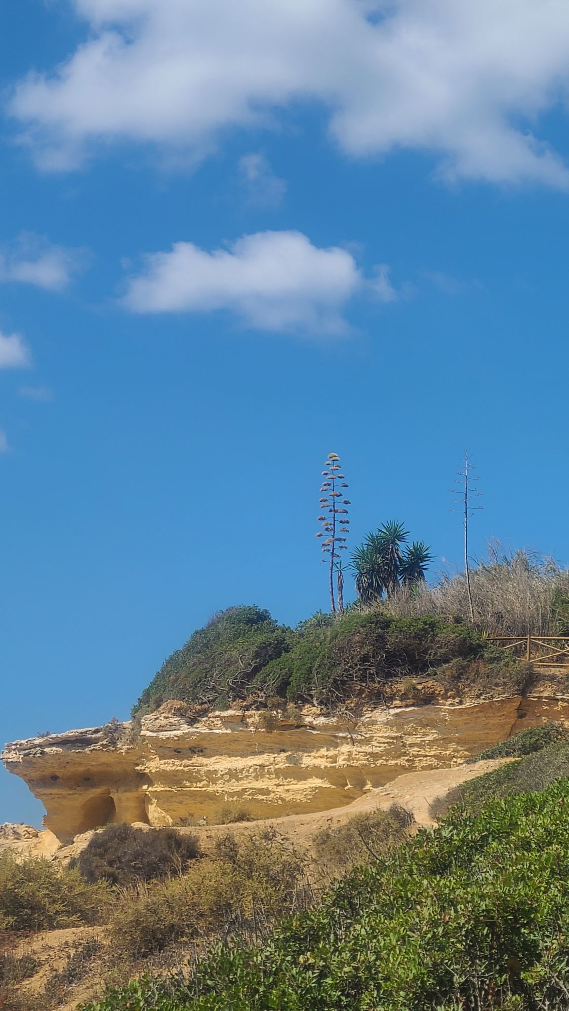 2022 08 16 11.18.43 samsung s20