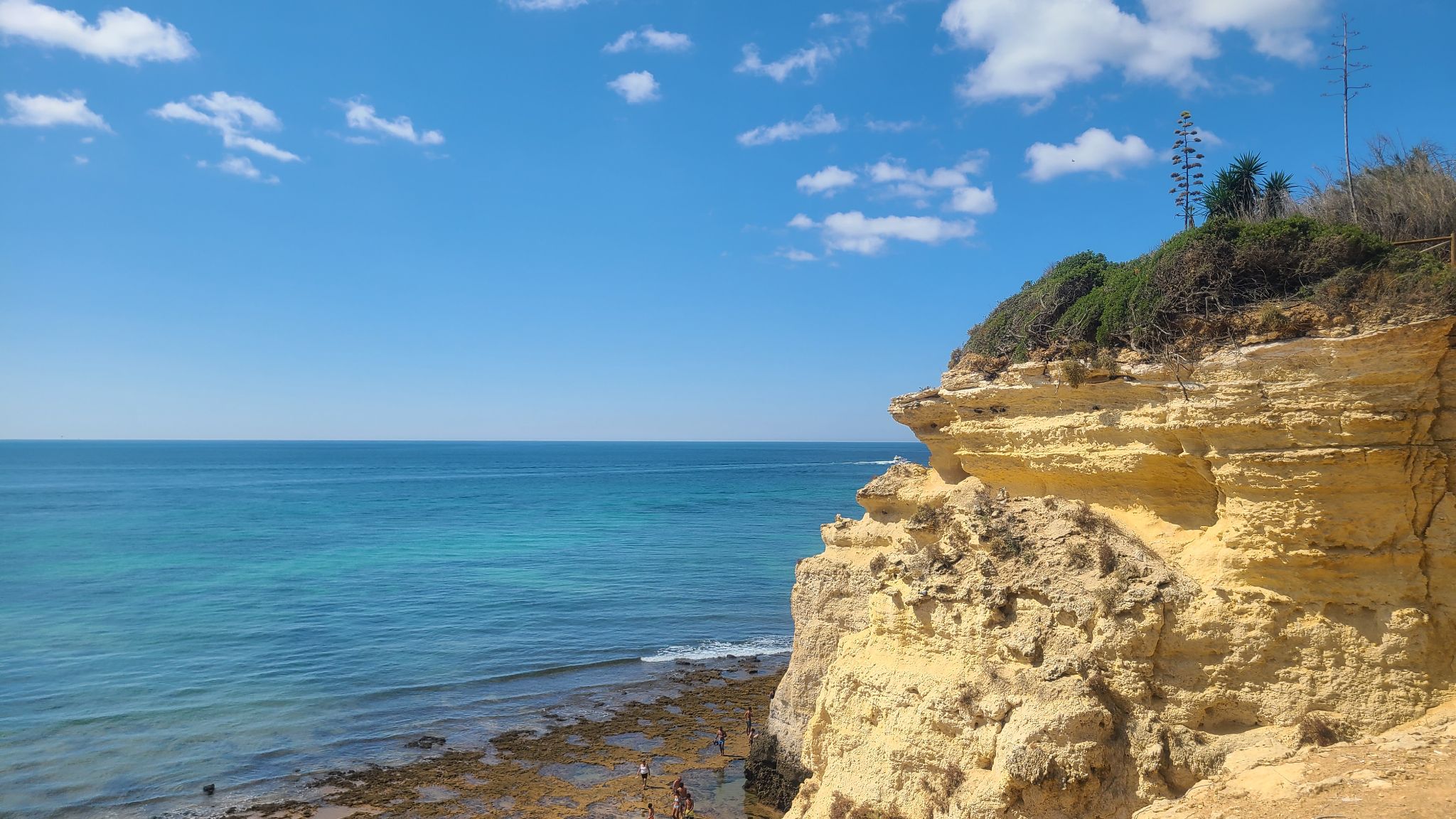 2022 08 16 11.19.39 samsung s20