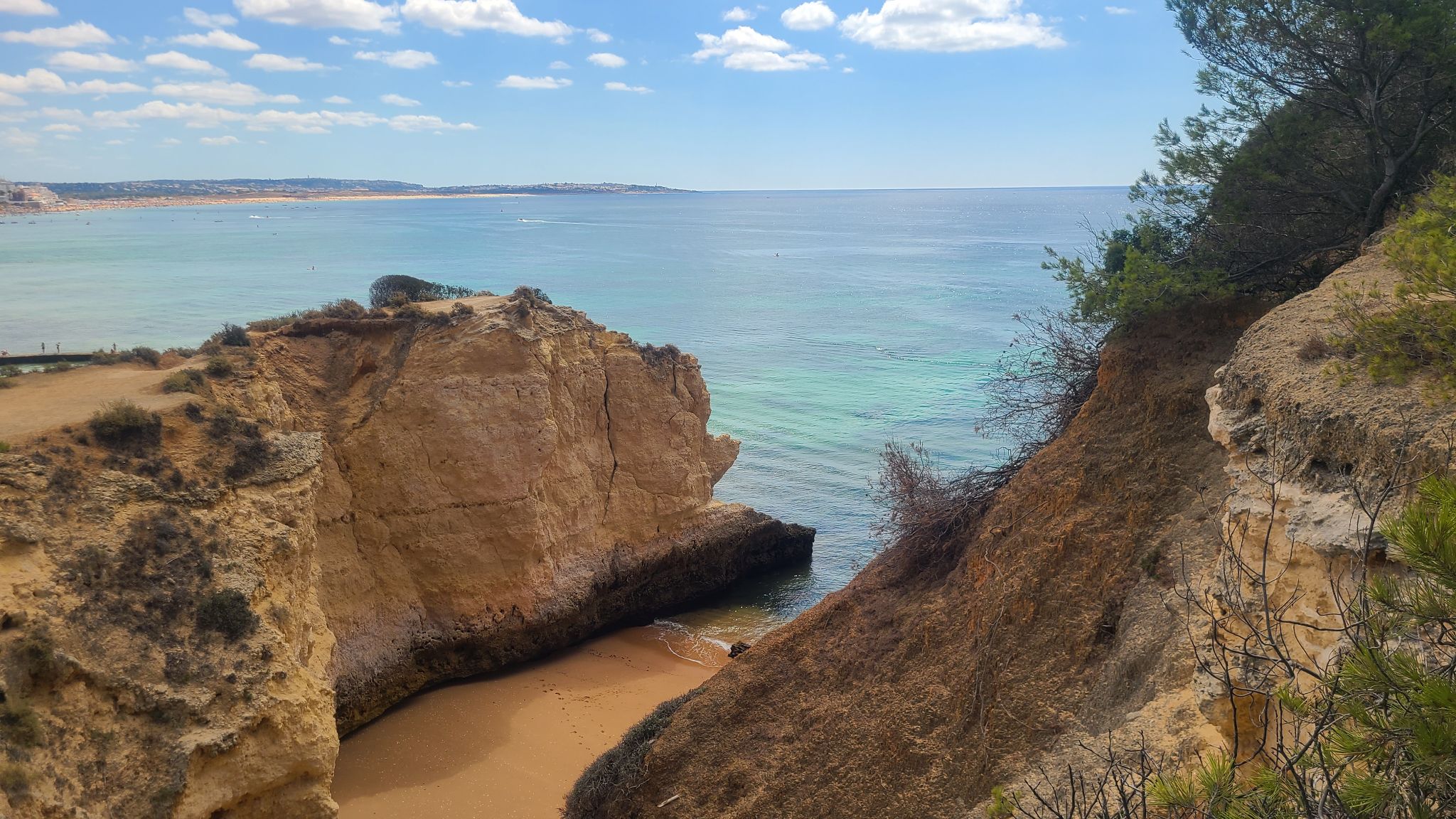 2022 08 16 11.39.26 samsung s20