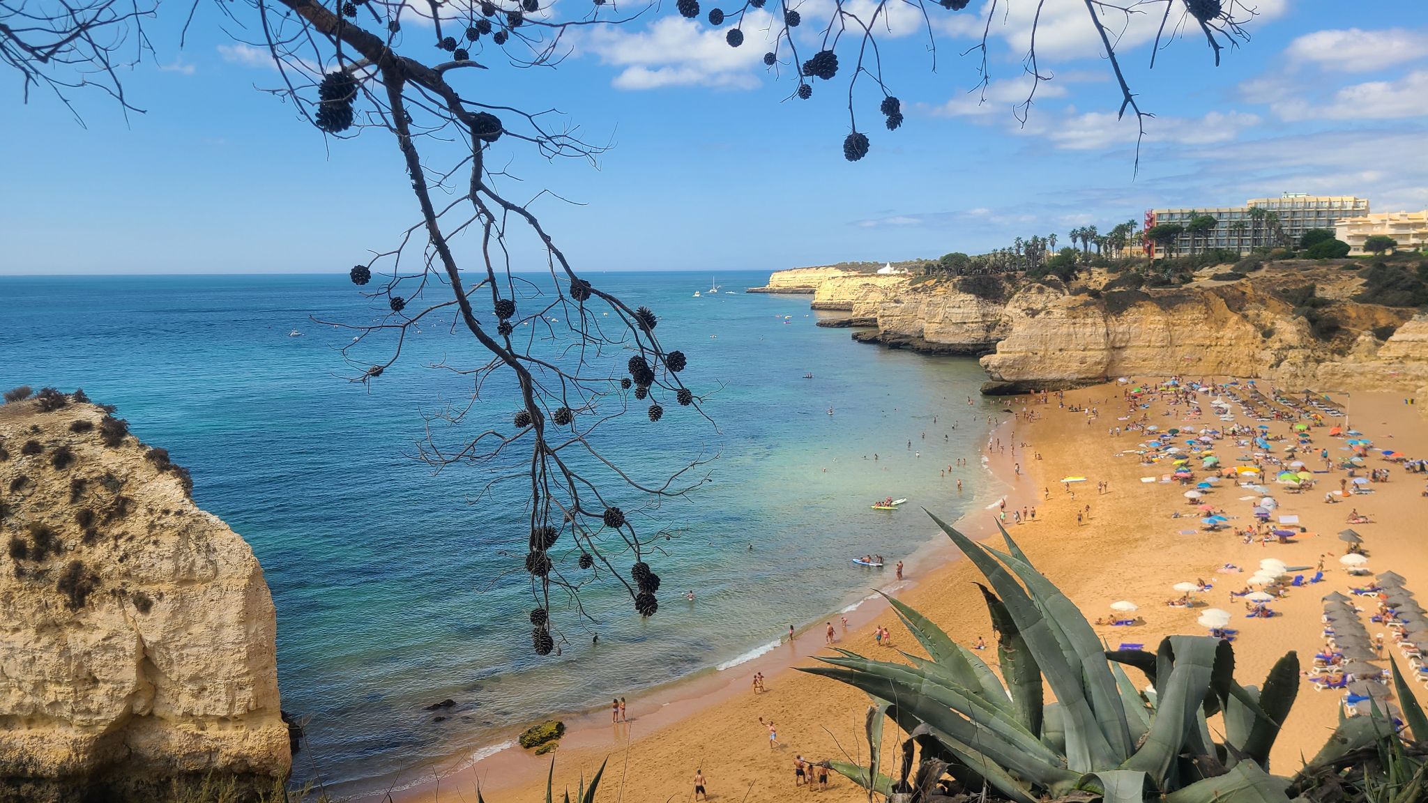 2022 08 16 11.45.44 samsung s20