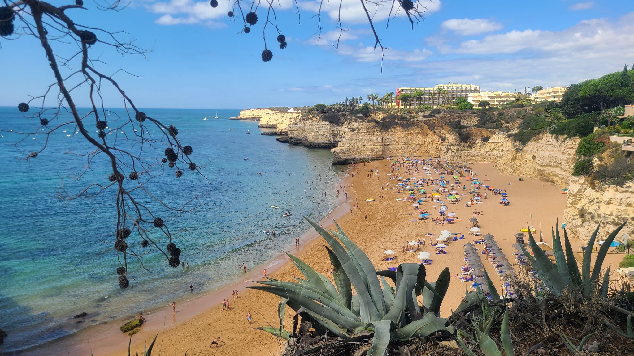 2022 08 16 11.46.06 samsung s20