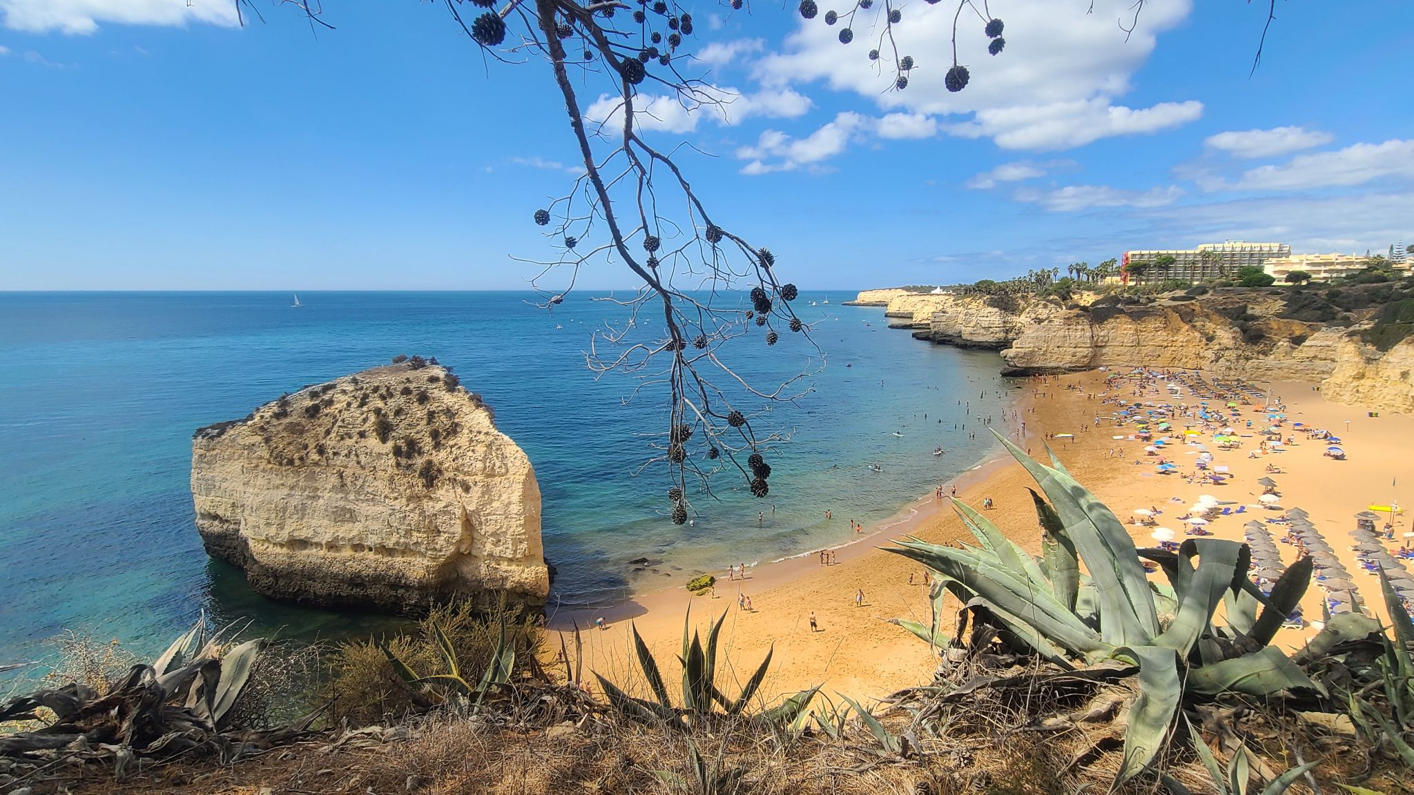 2022 08 16 11.46.20 samsung s20