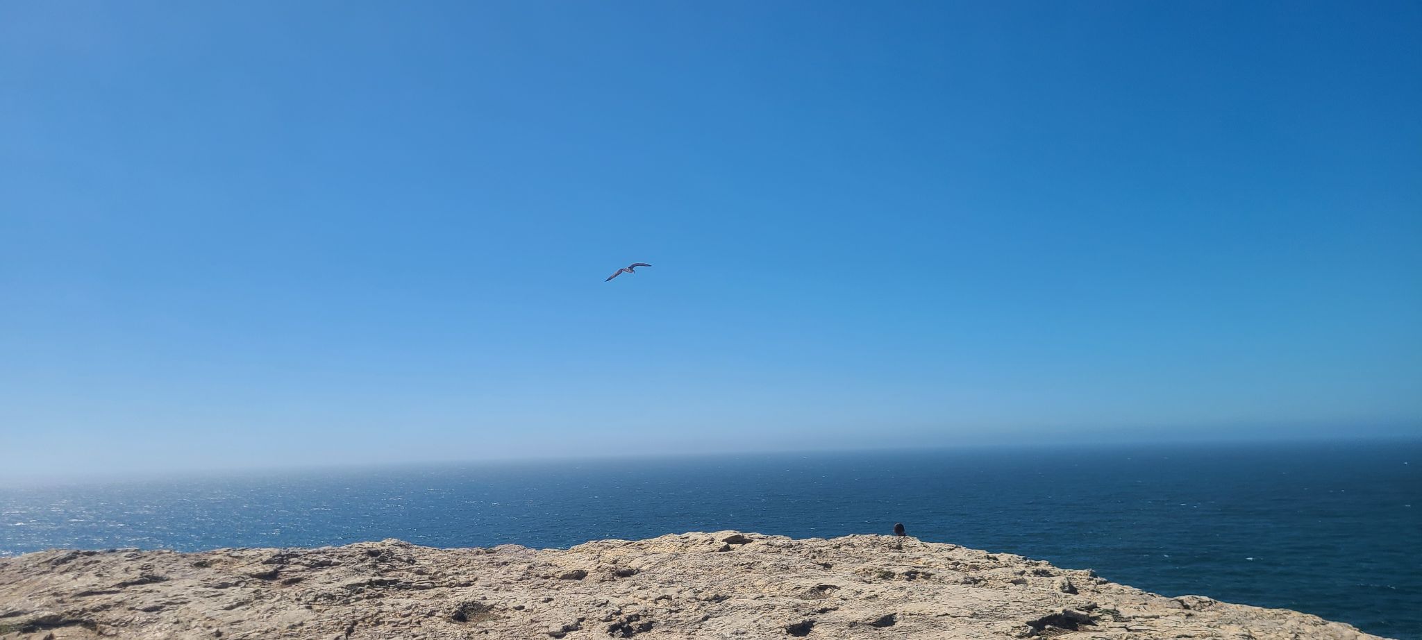 2022 08 21 16.12.45 samsung s20