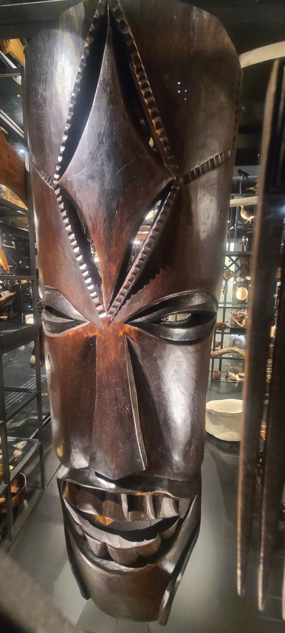 2022 08 21 11.37.17 samsung s20