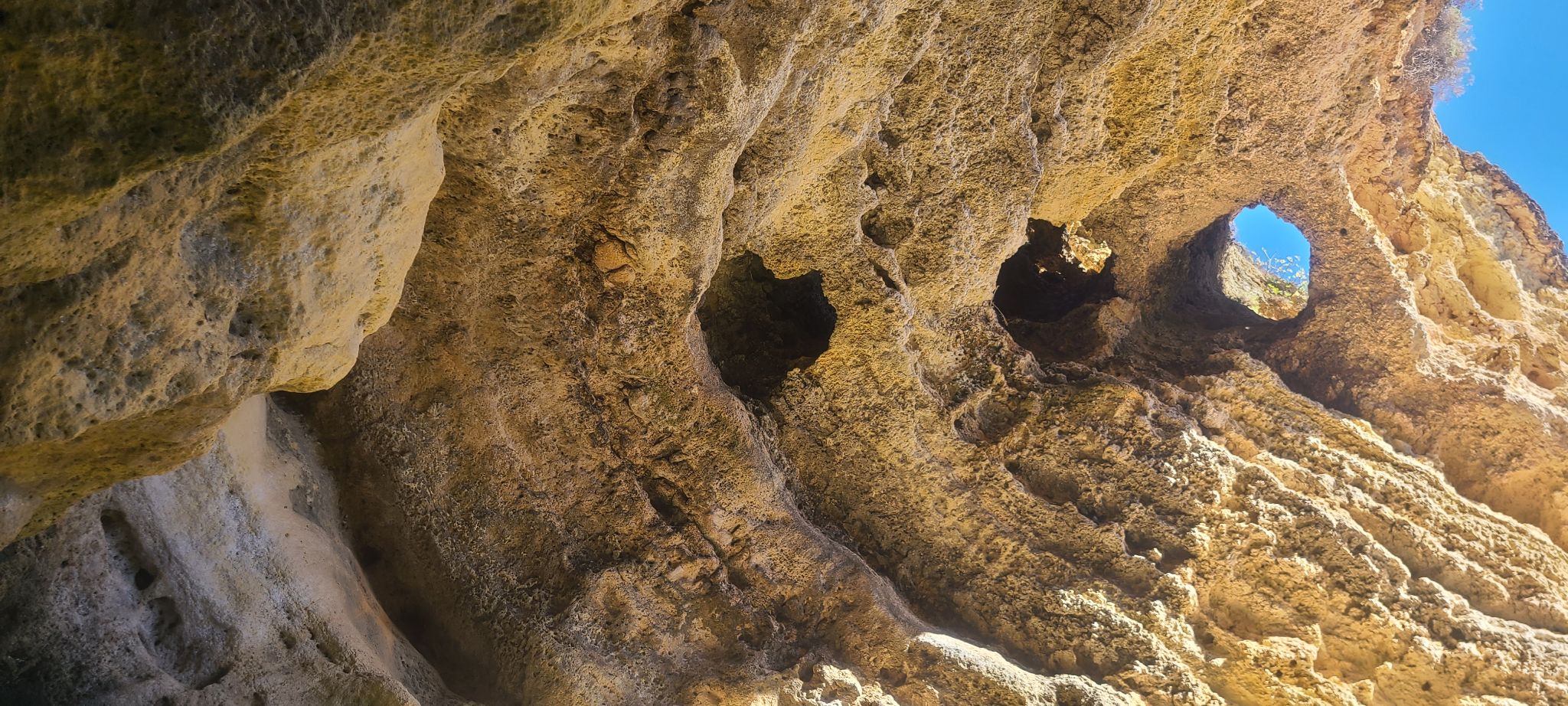 2022 08 19 12.33.01 samsung s20