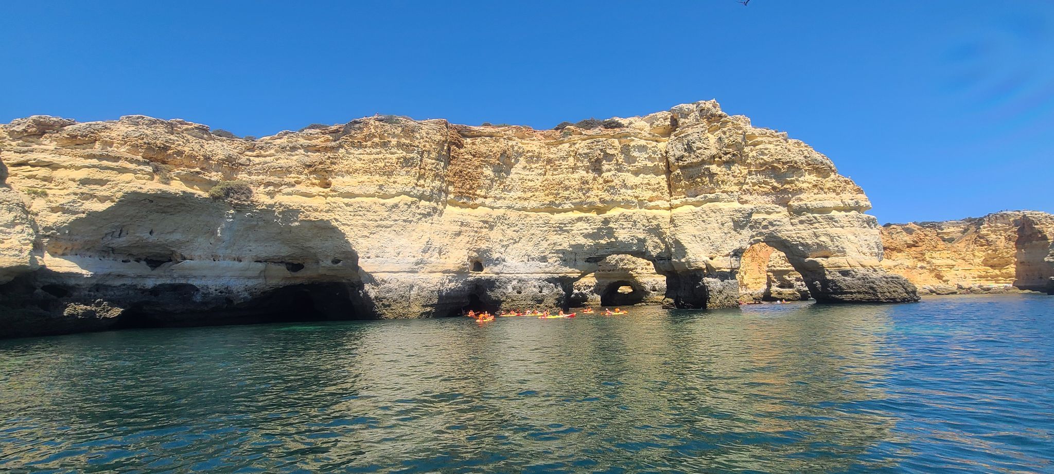 2022 08 19 12.56.26 samsung s20