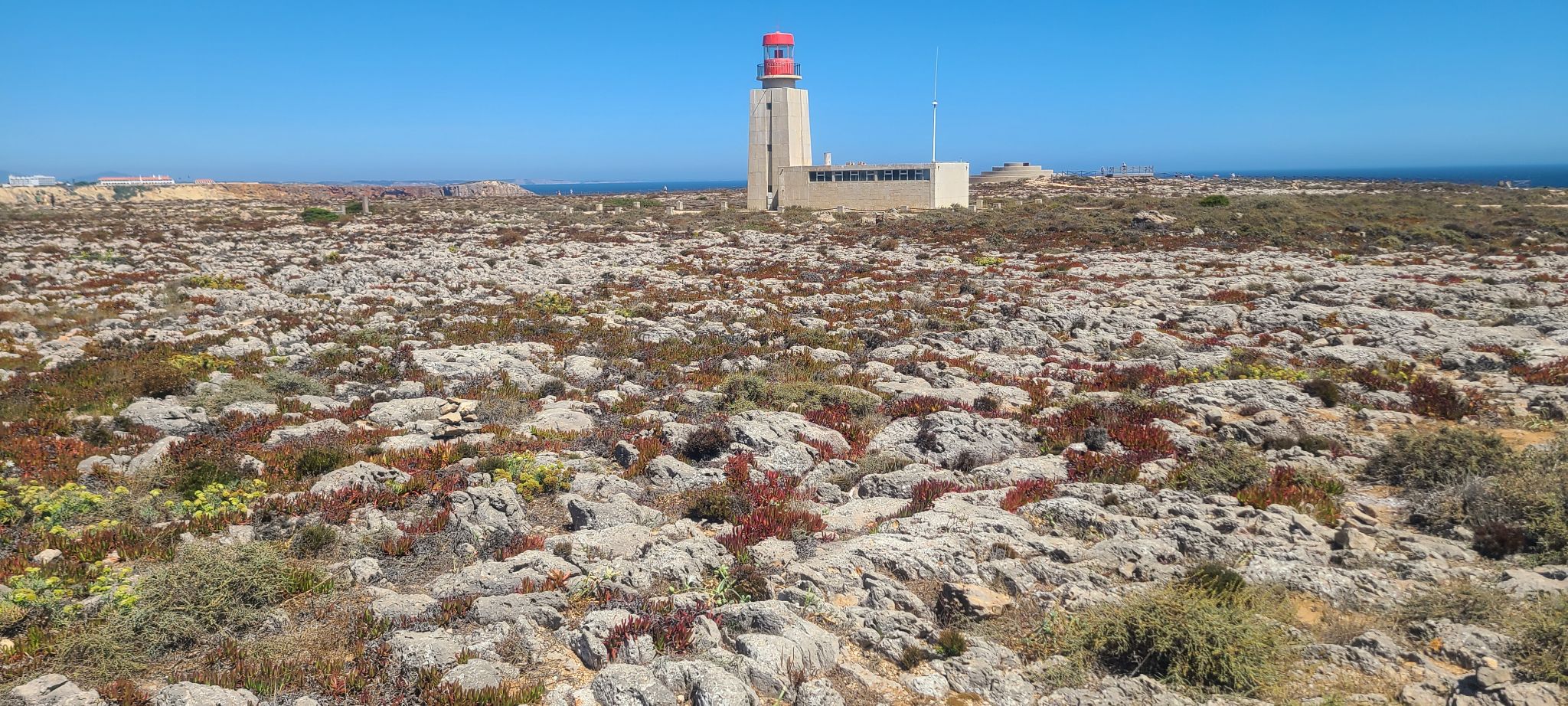 2022 08 21 14.57.57 samsung s20