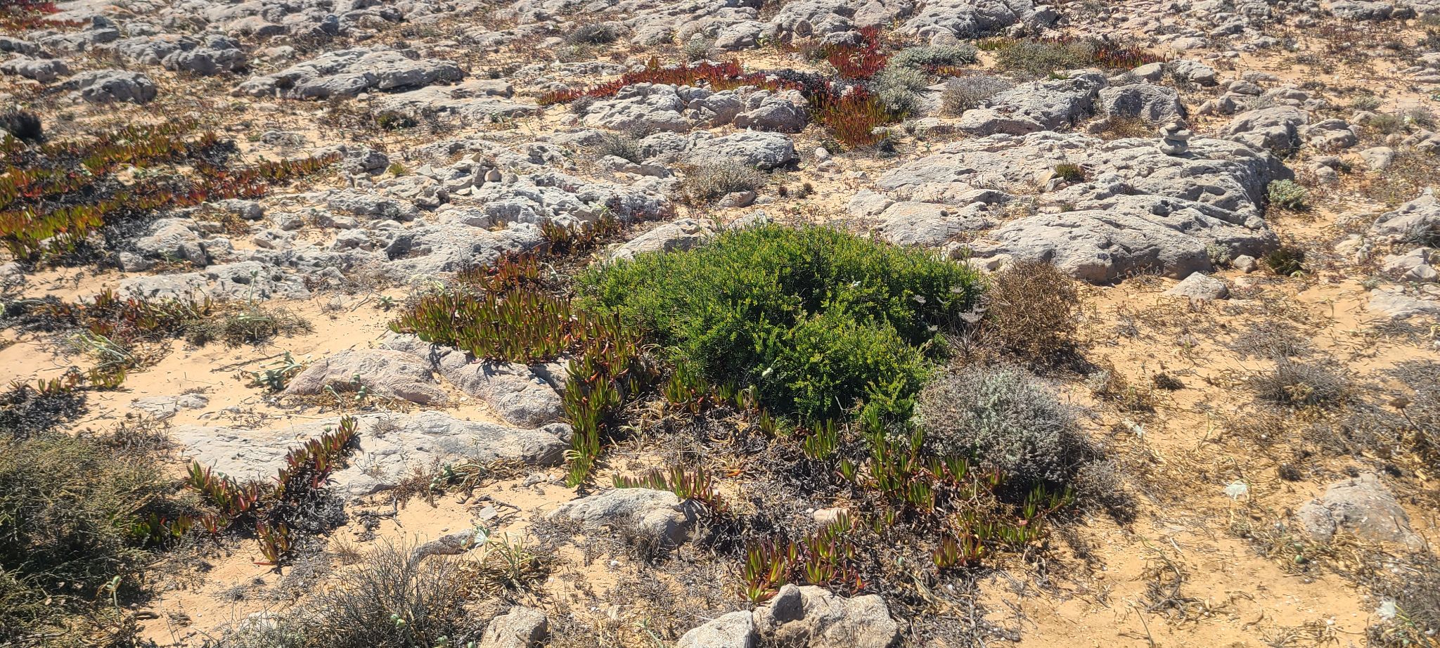 2022 08 21 15.10.11 samsung s20