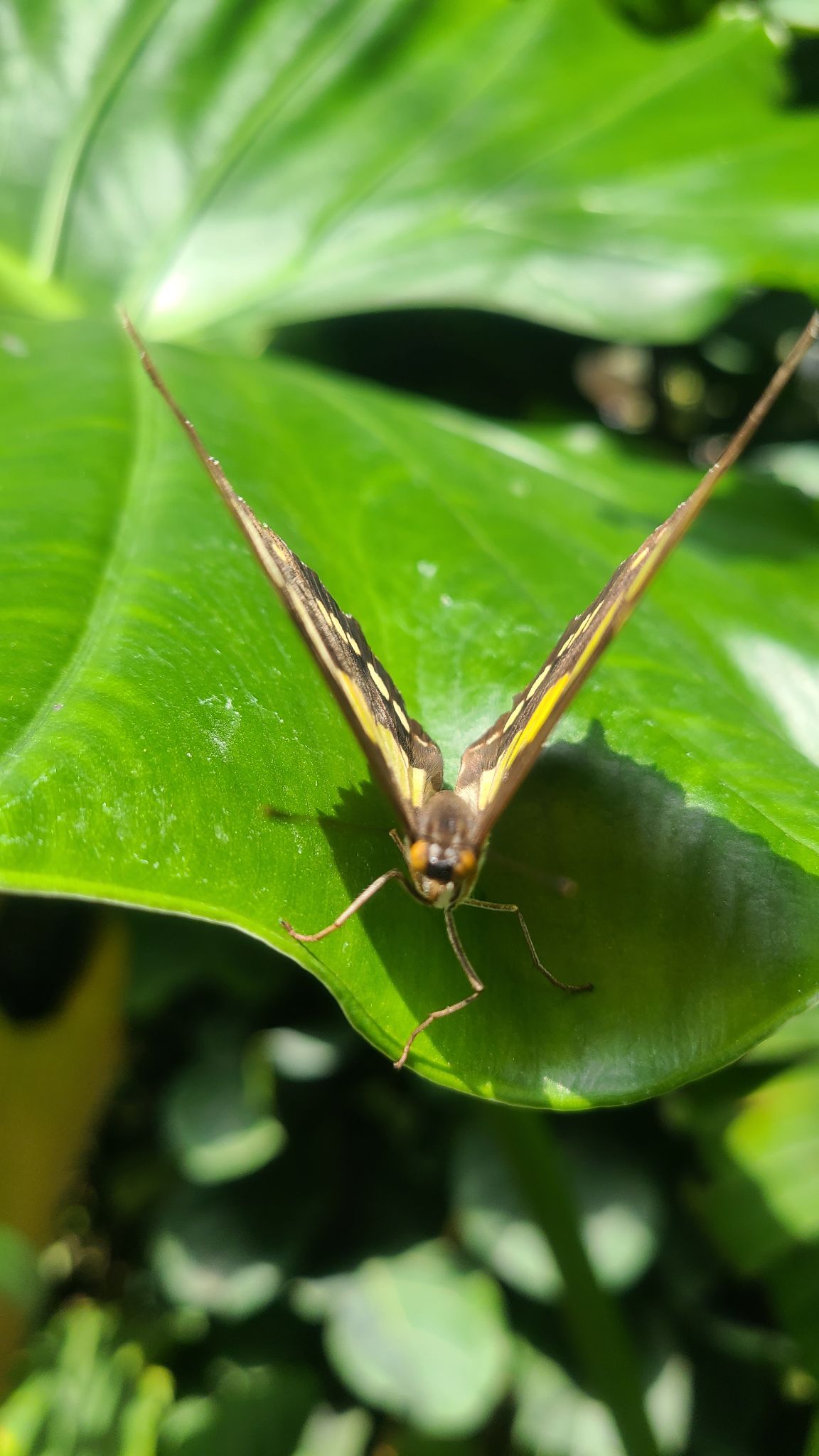 2022 08 17 11.23.06 samsung s20