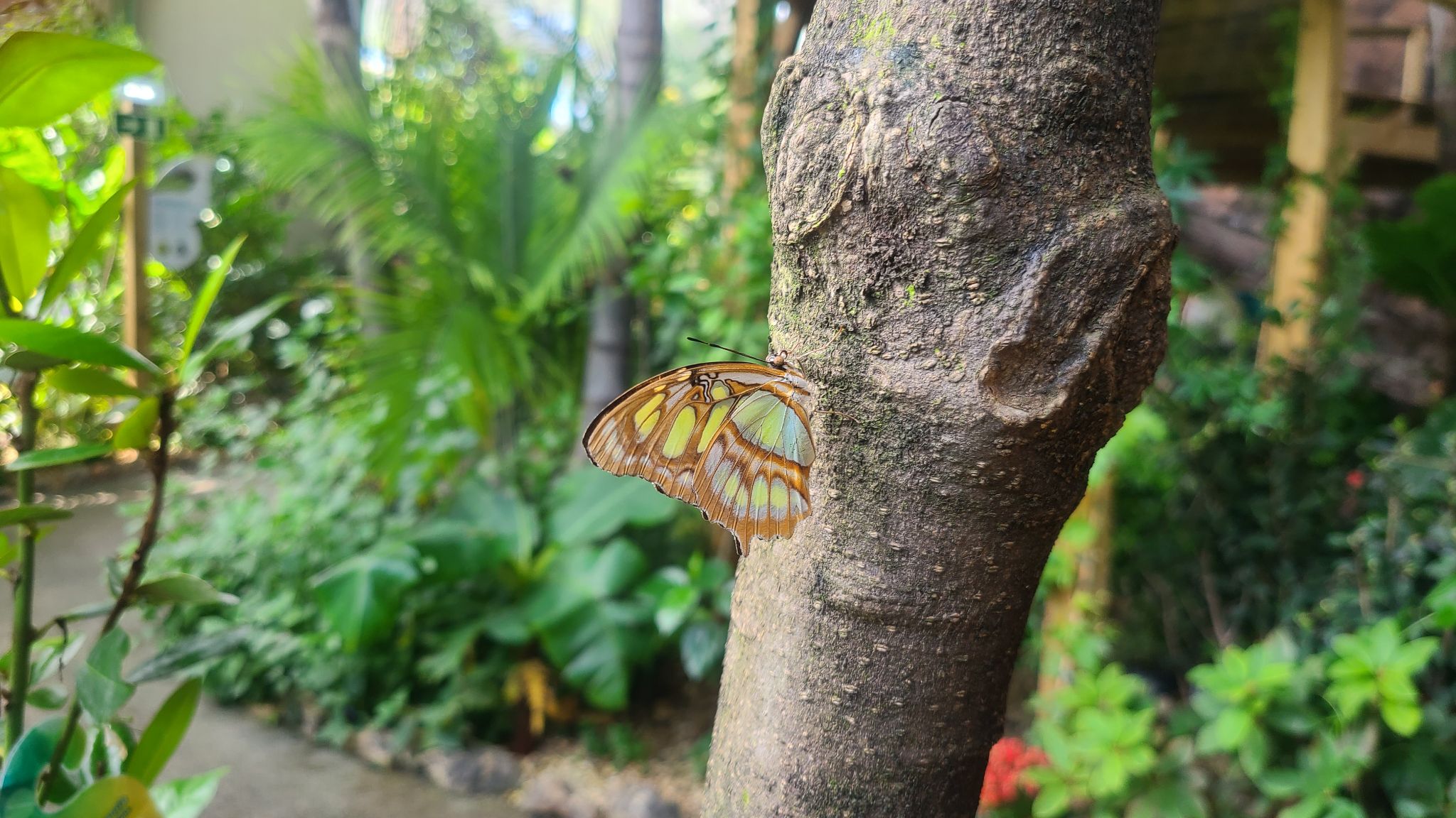 2022 08 17 11.24.03 samsung s20