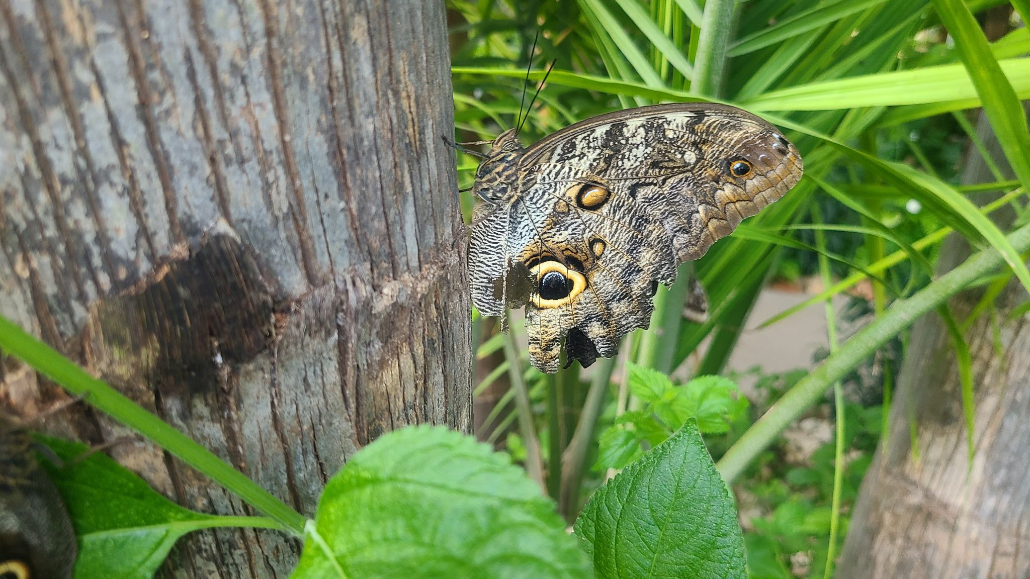 2022 08 17 11.26.24 samsung s20