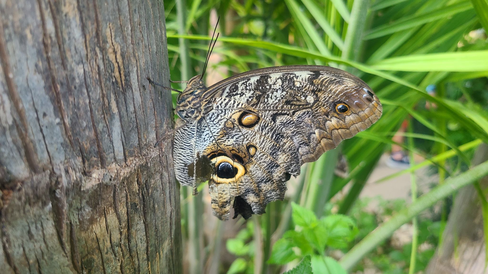 2022 08 17 11.26.29 samsung s20