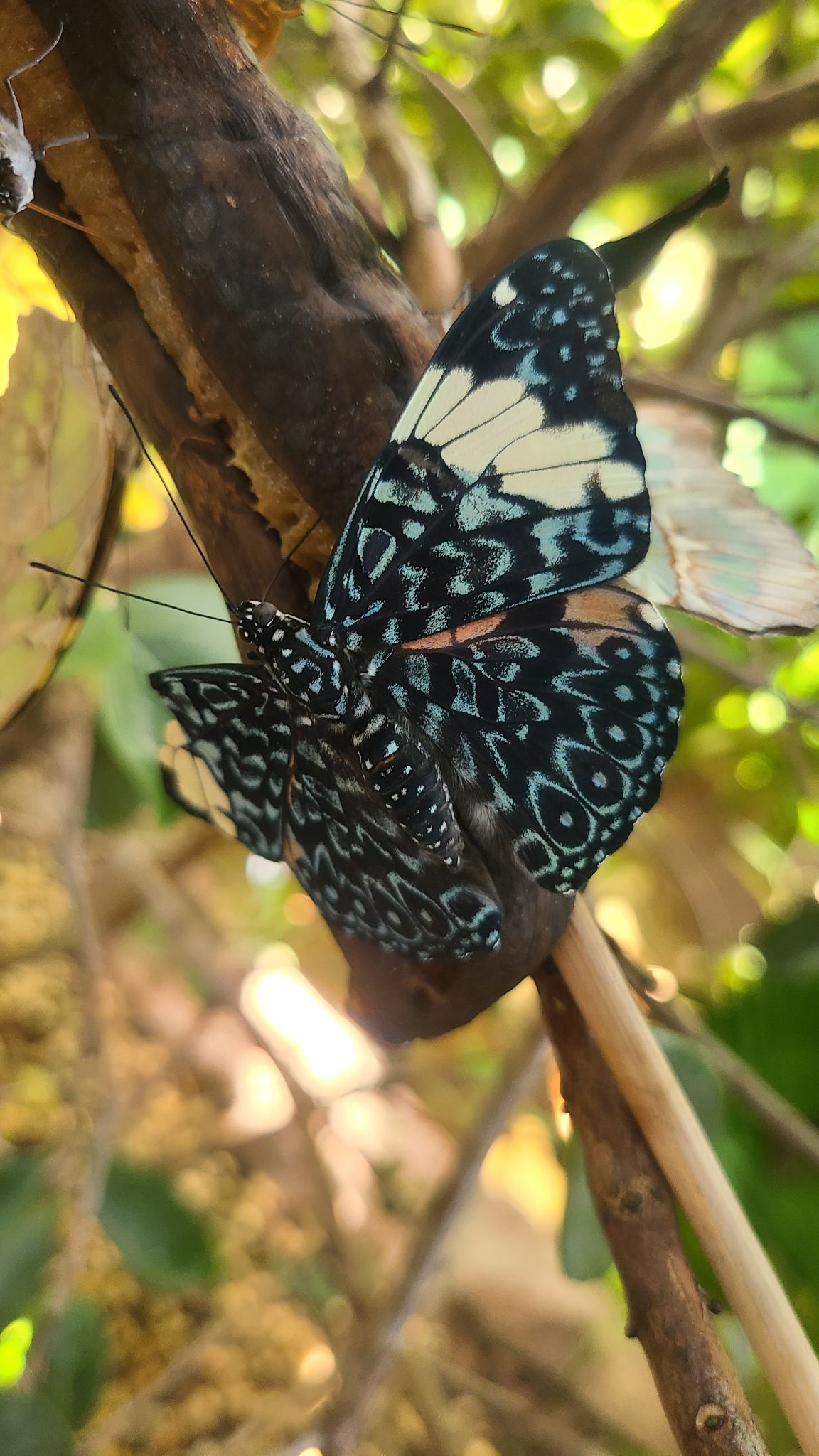 2022 08 17 11.27.02 samsung s20