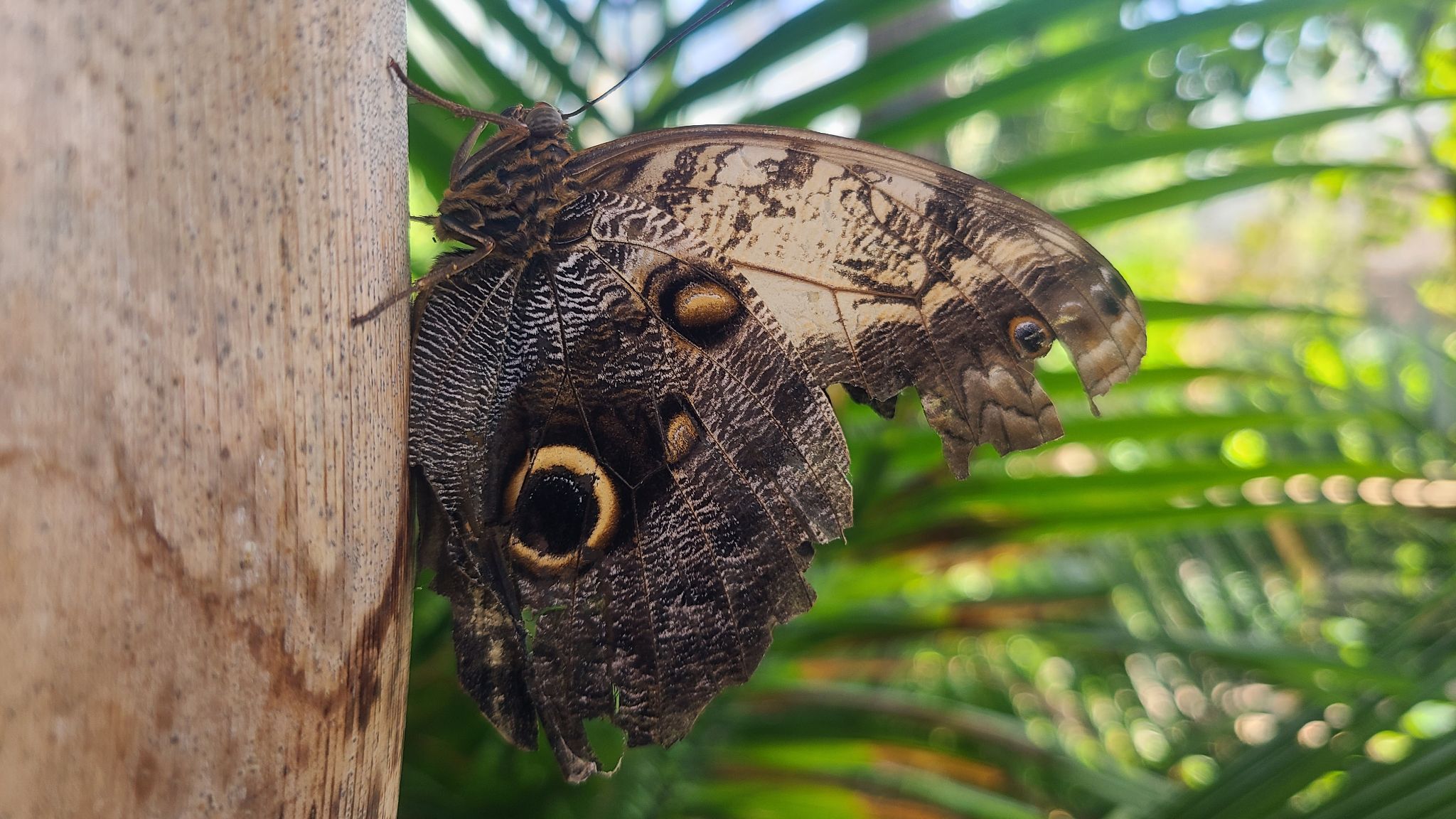 2022 08 17 11.27.16 samsung s20