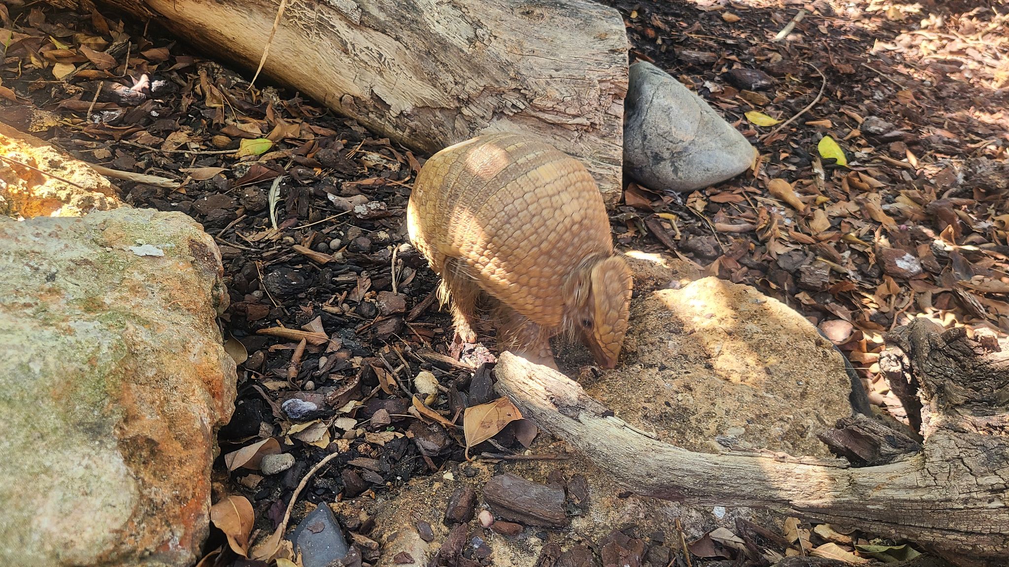 2022 08 17 11.35.48 samsung s20