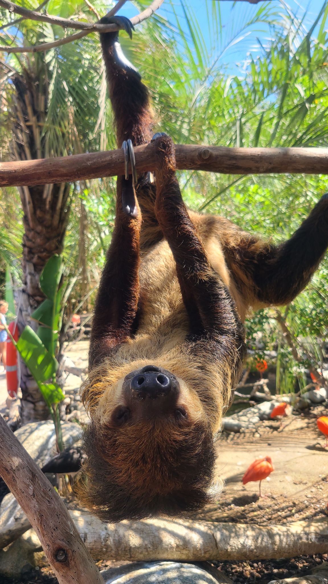 2022 08 17 11.37.21 samsung s20