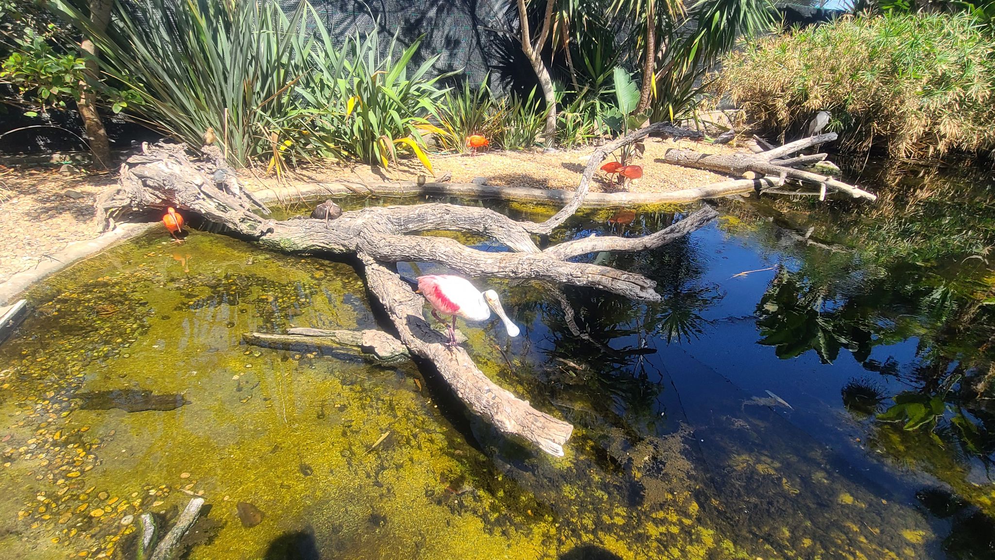 2022 08 17 11.39.11 samsung s20