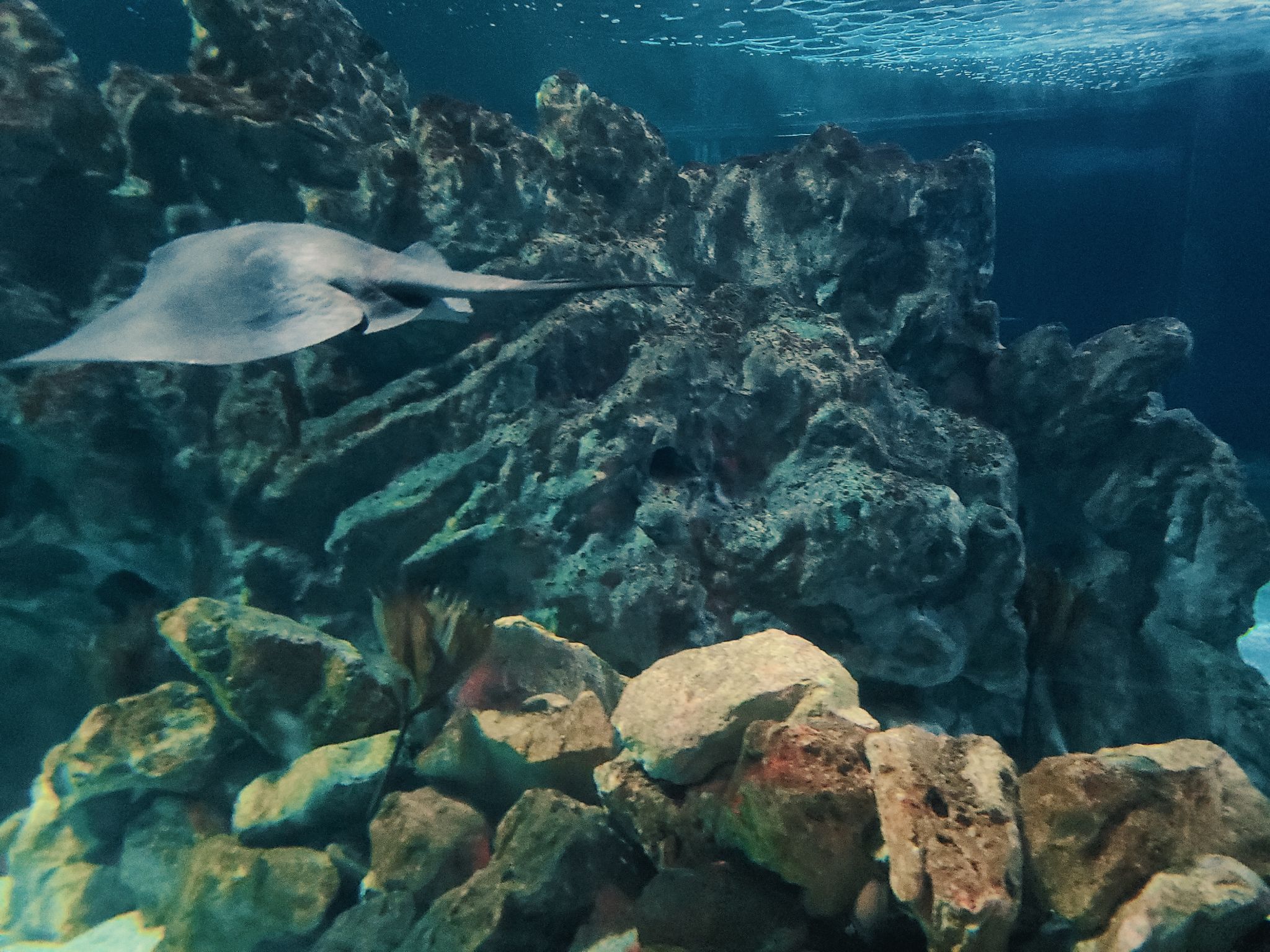 2022 08 17 11.48.44.1 samsung s20