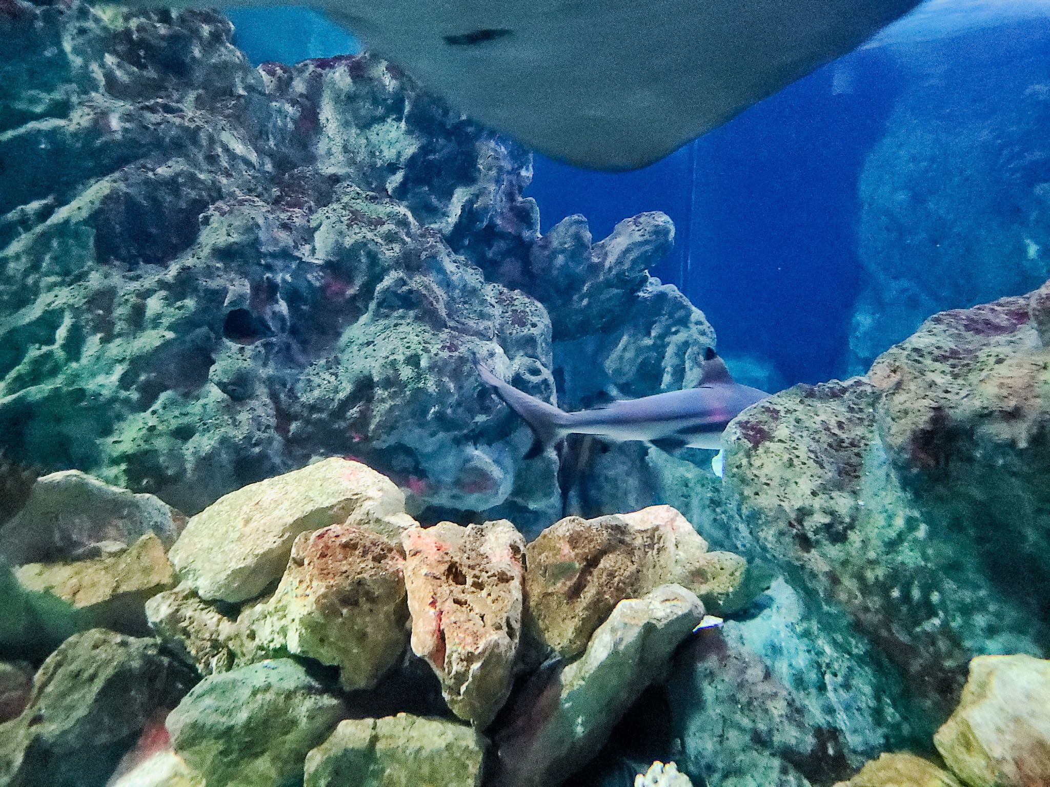 2022 08 17 11.48.44.2 samsung s20