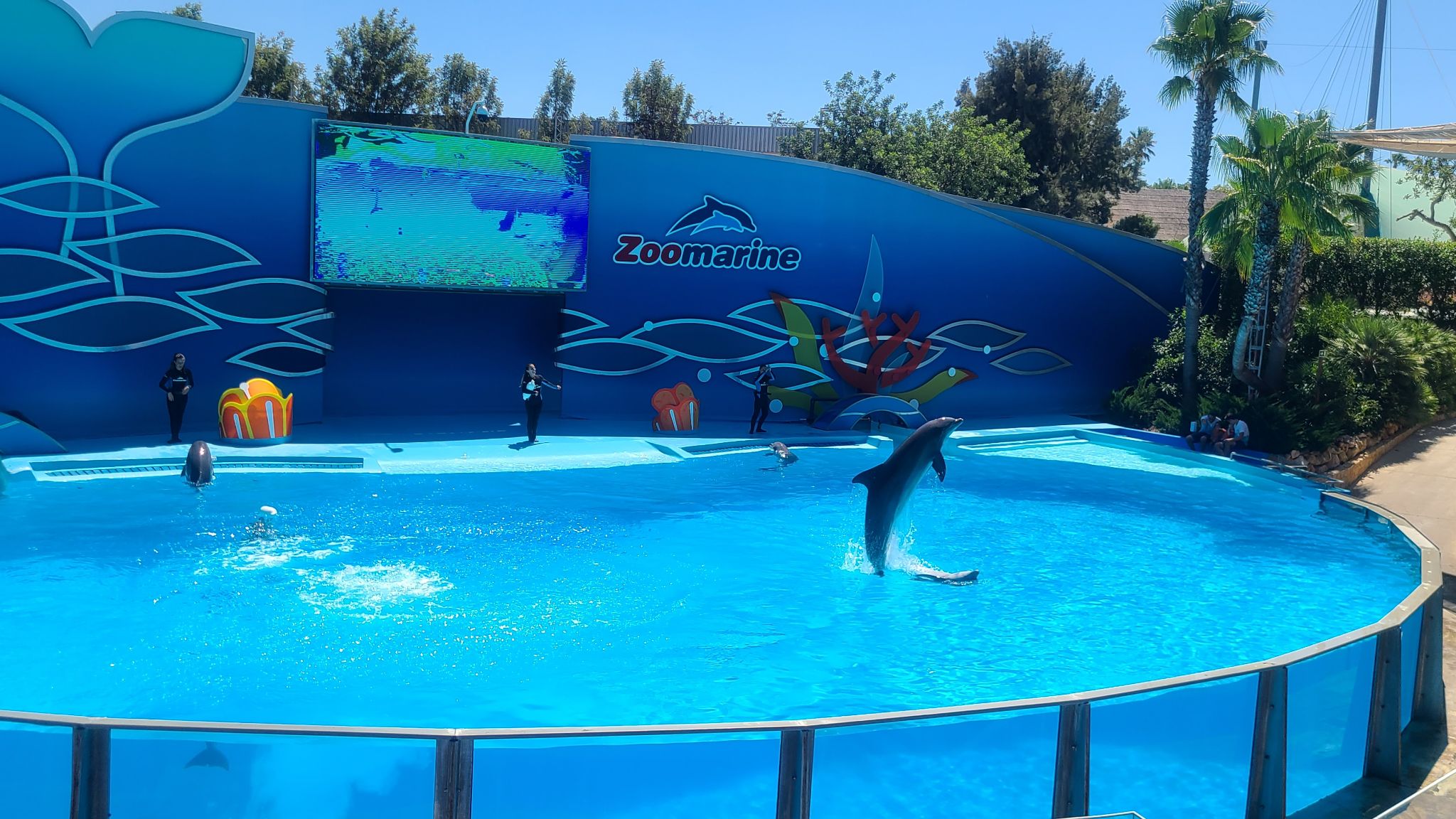 2022 08 17 12.45.45 samsung s20