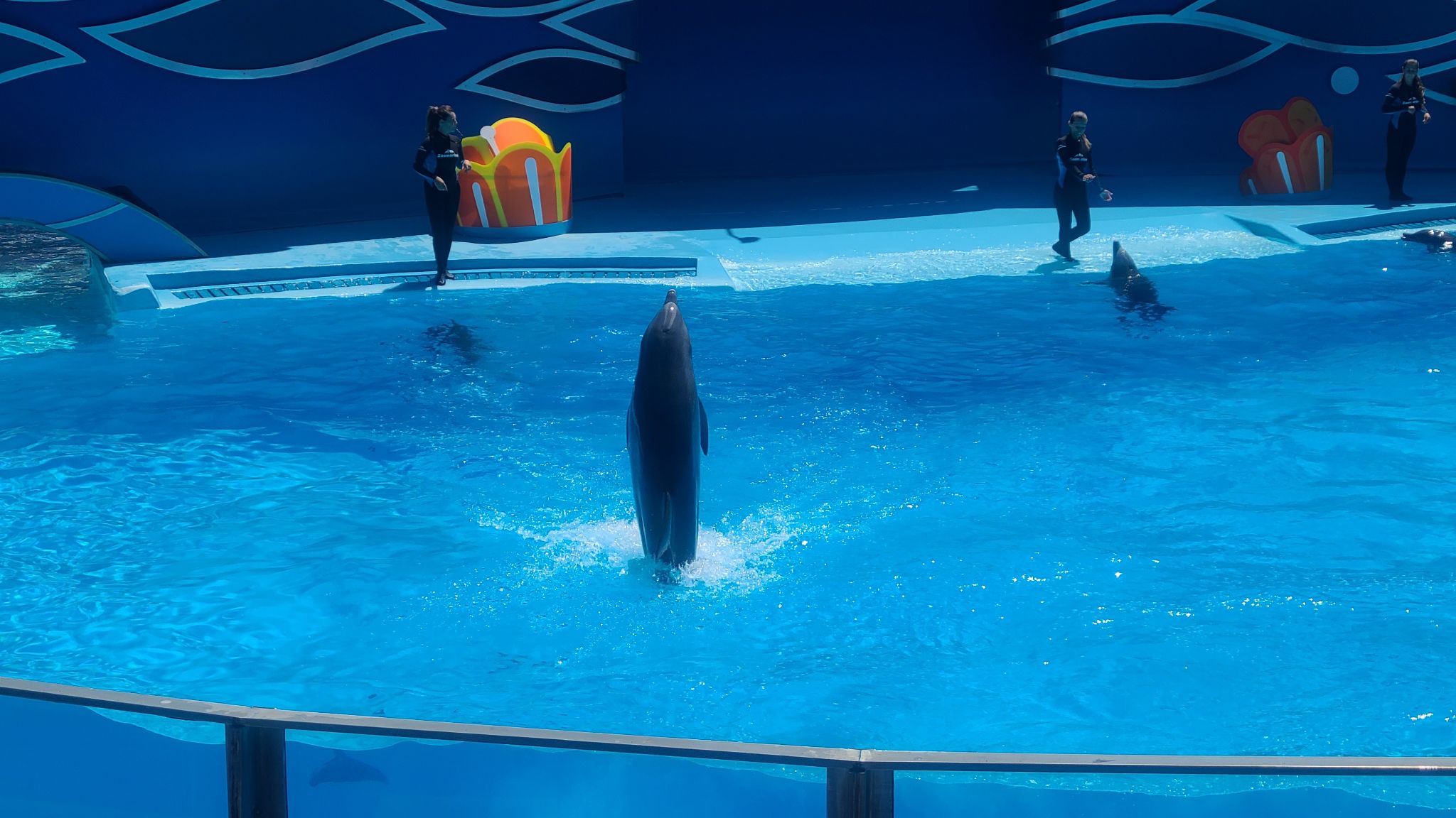 2022 08 17 12.50.12 samsung s20