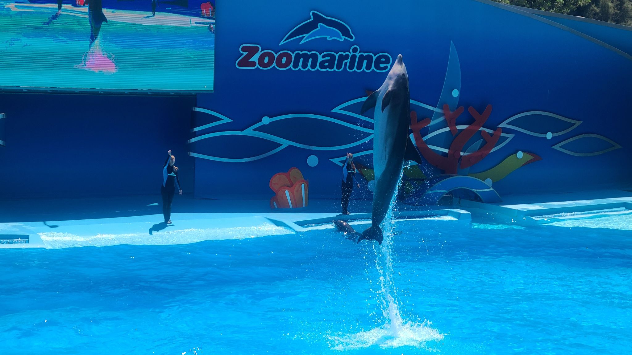 2022 08 17 12.50.17 samsung s20