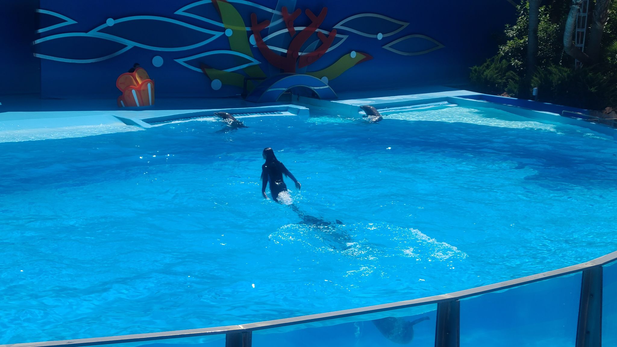 2022 08 17 12.57.42 samsung s20