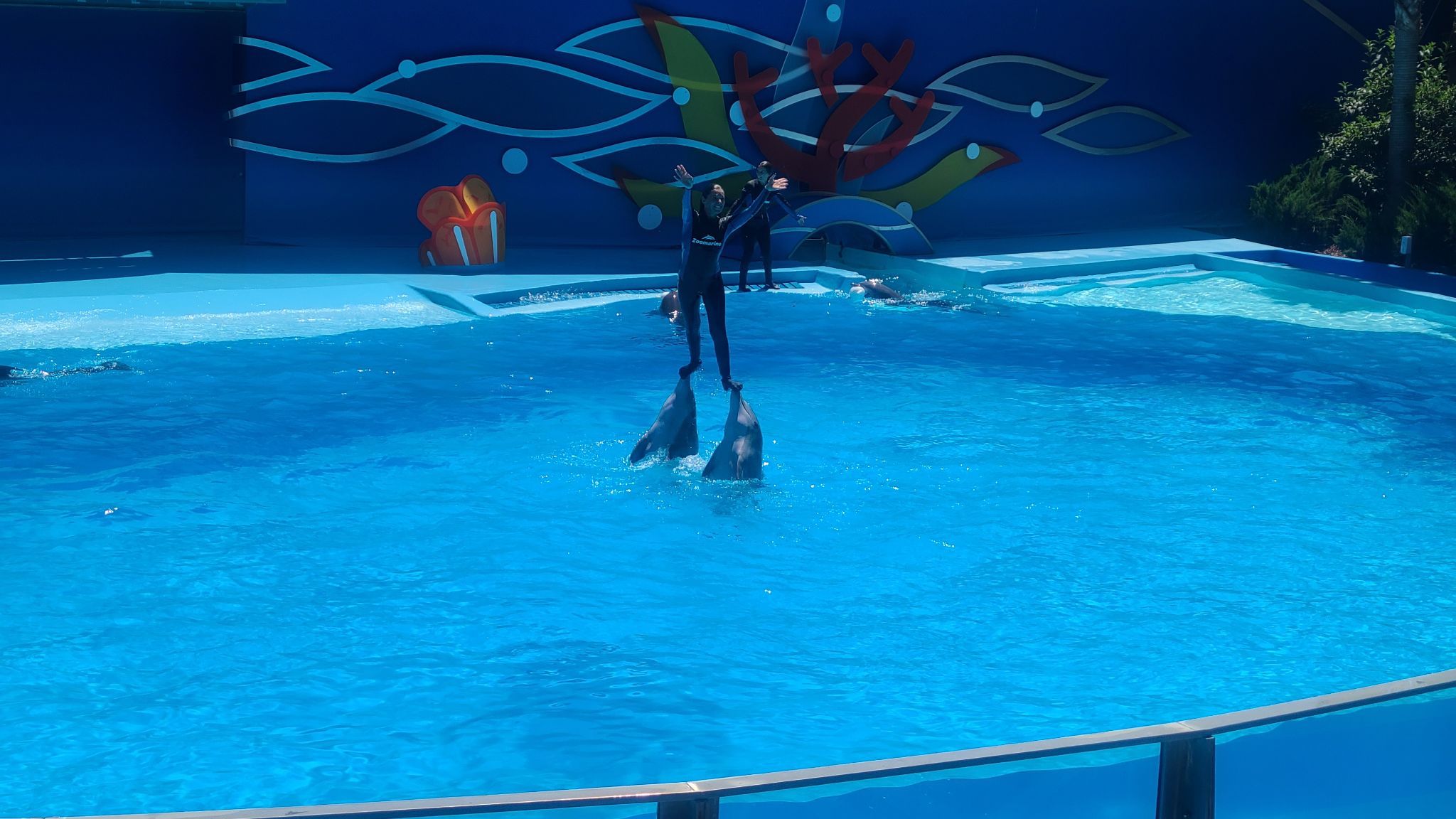 2022 08 17 12.57.56 samsung s20