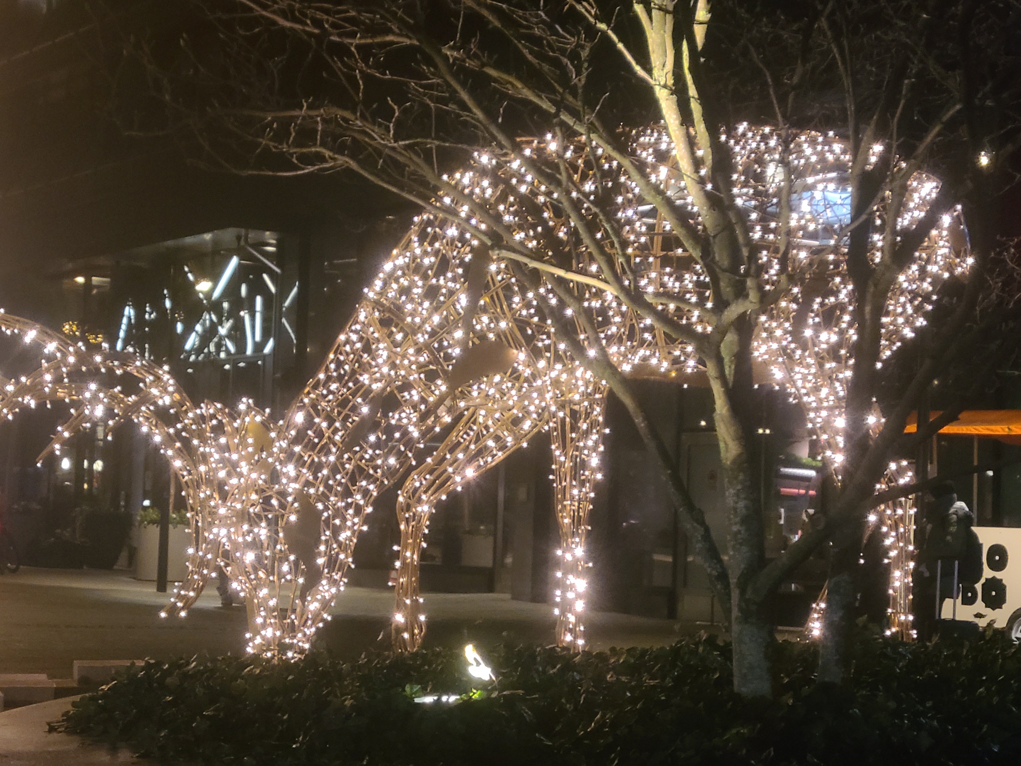 2024 12 28 17.47.49 samsung s20