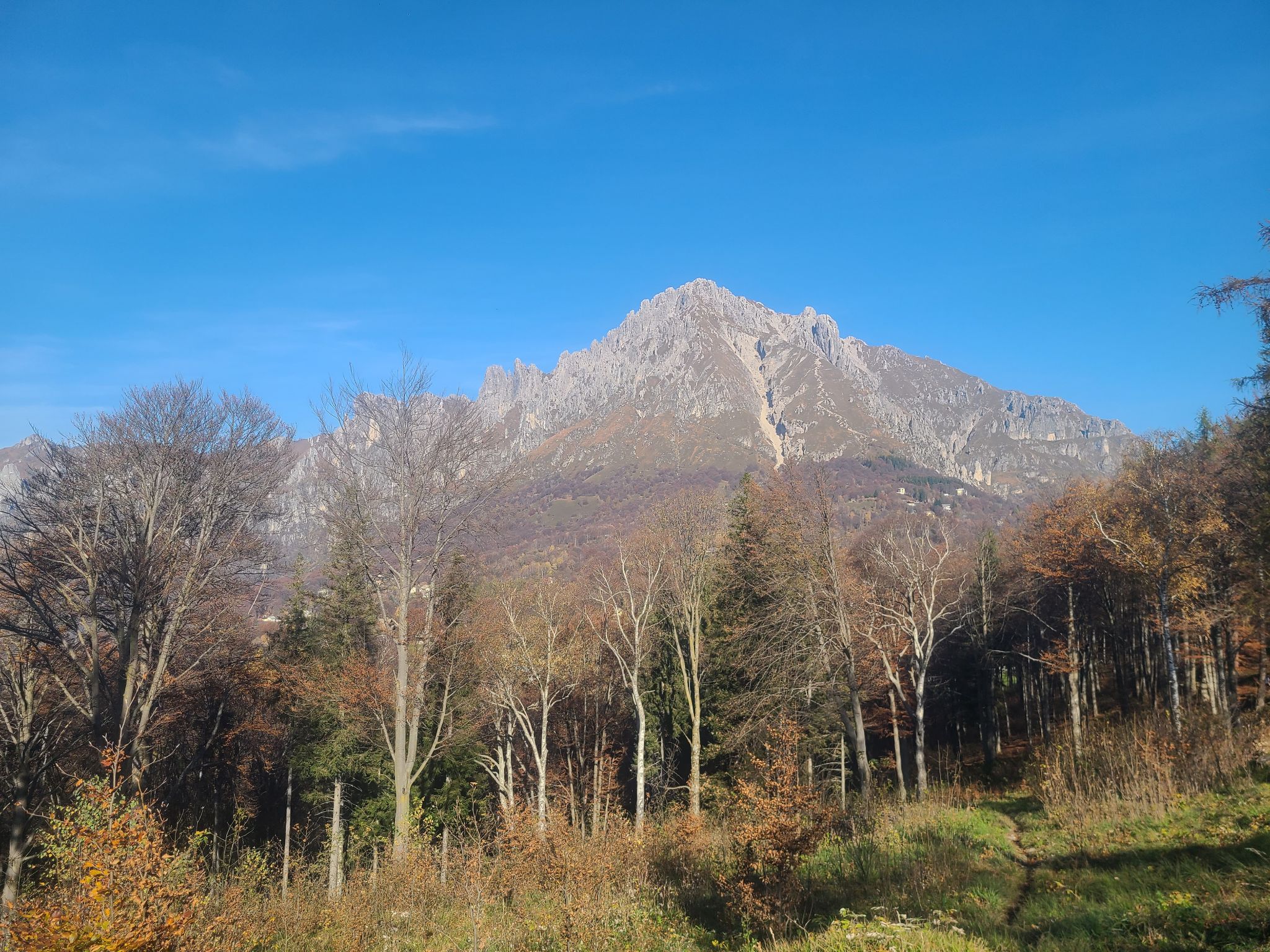 2024 11 03 11.16.58 samsung s20