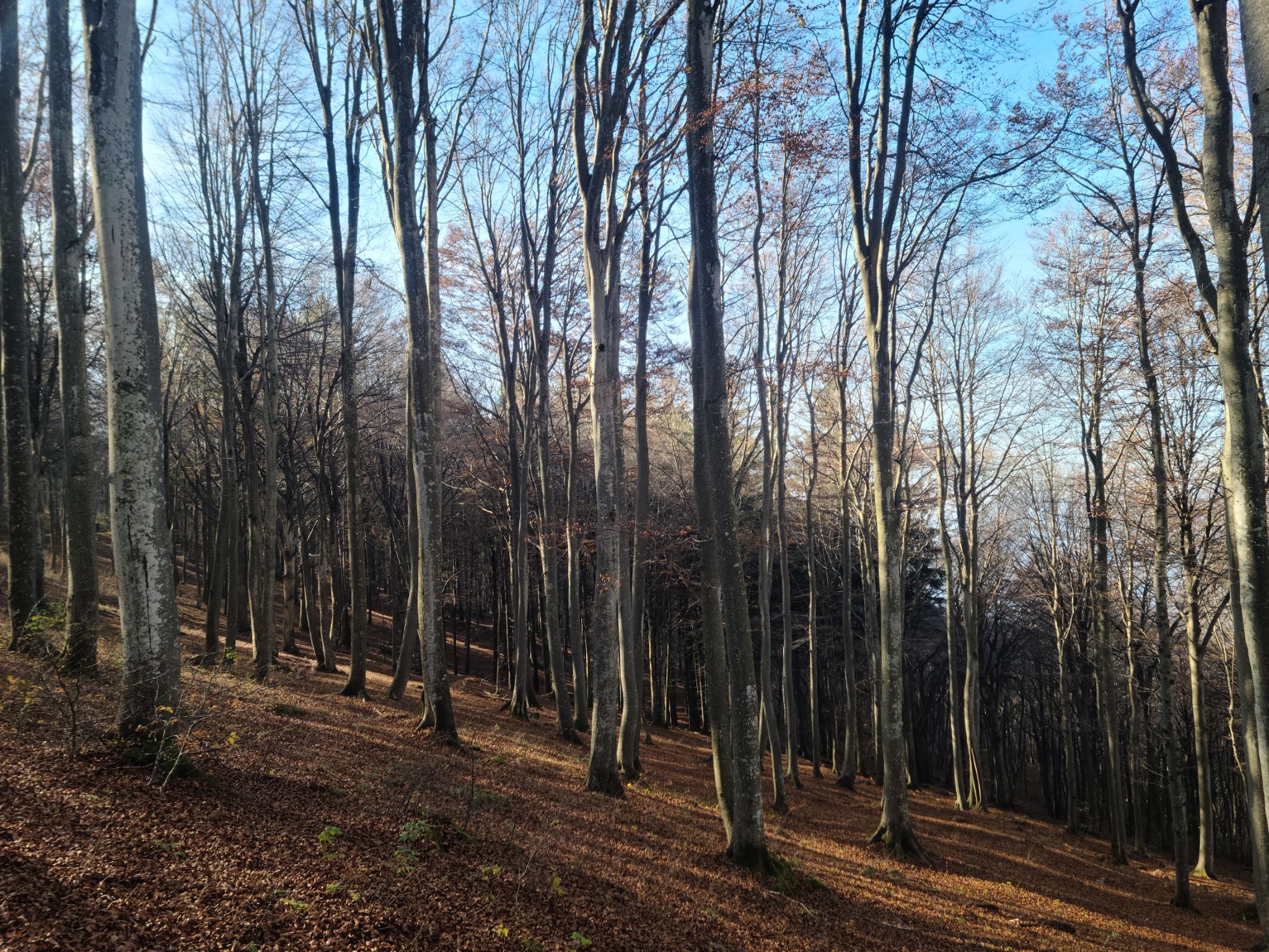 2024 11 03 11.25.18 samsung s20